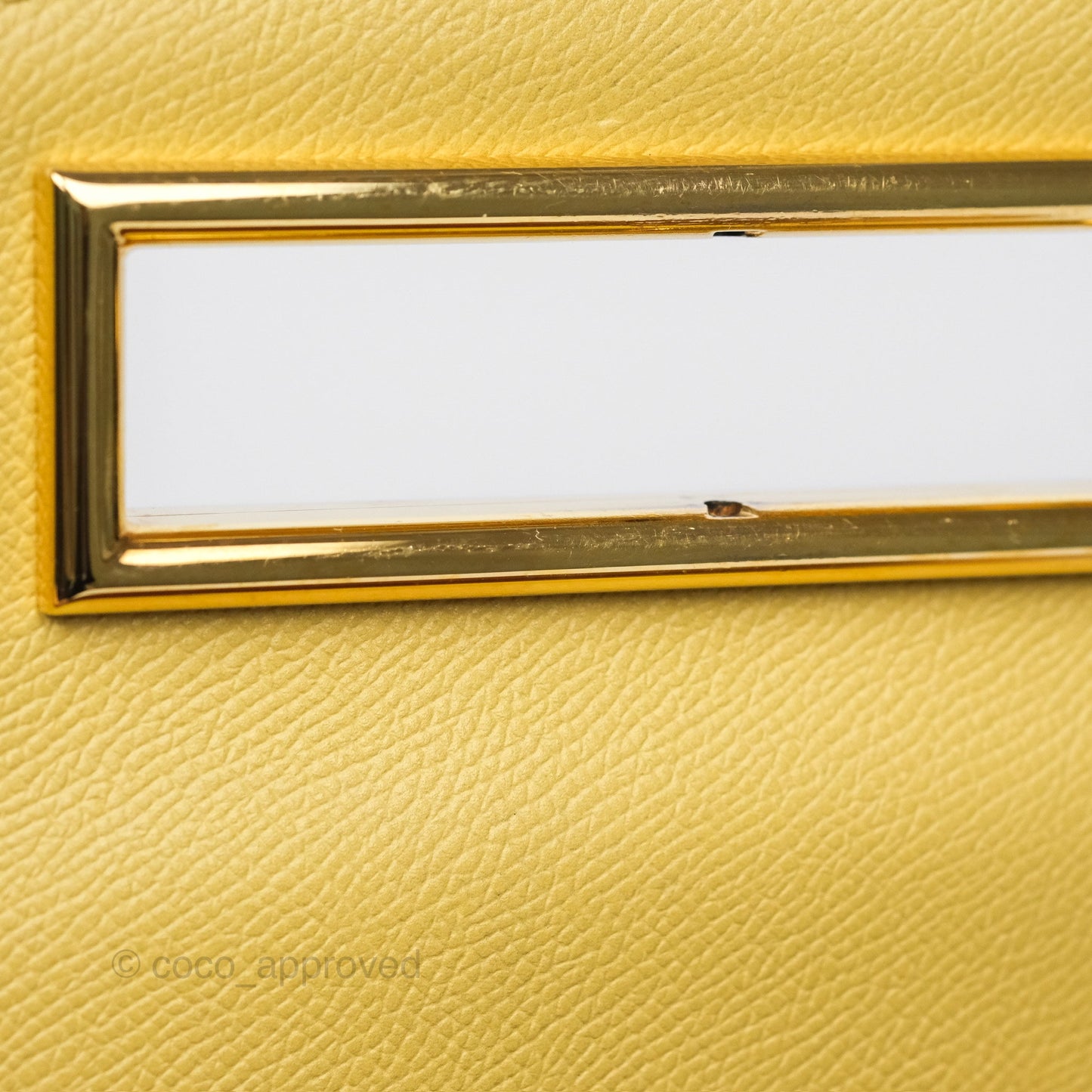Delvaux Lingot Bag Pollen Alpina Calfskin