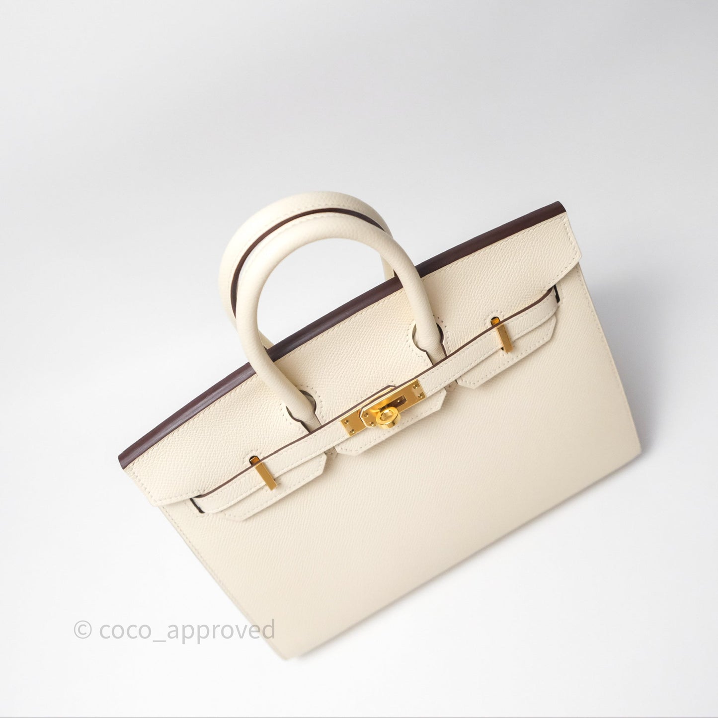 Hermès Birkin 25 Sellier Nata I2 Epsom Gold Hardware