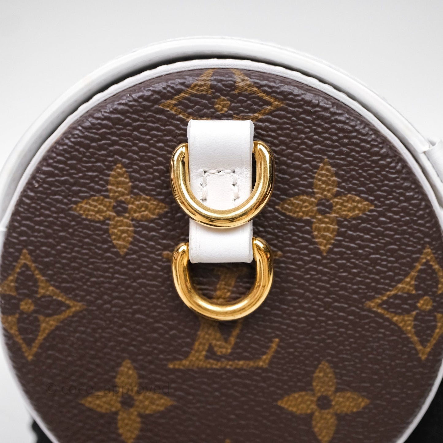 Louis Vuitton Monogram Papillon Trunk Bag