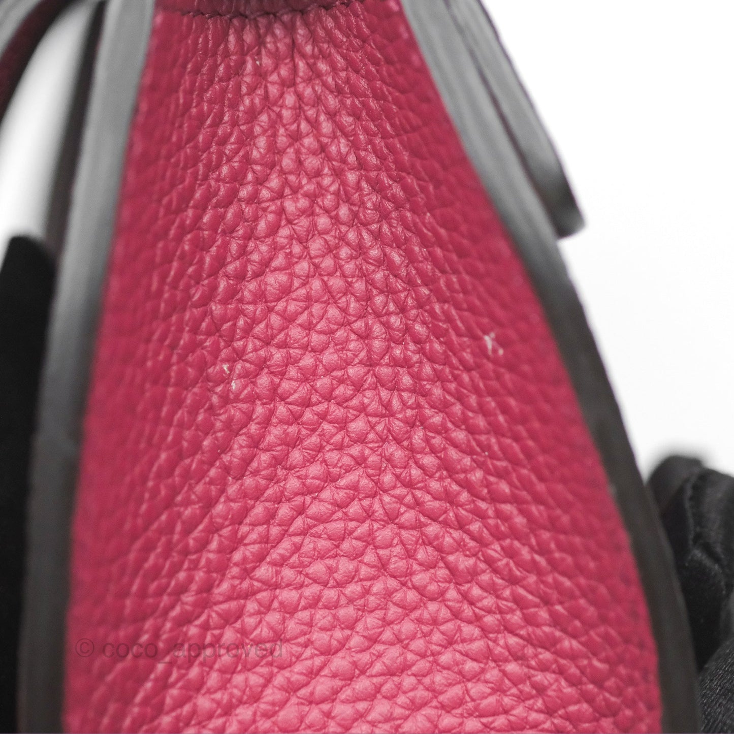 Moynat Réjane Nano Litchi Taurillon Blush Leather