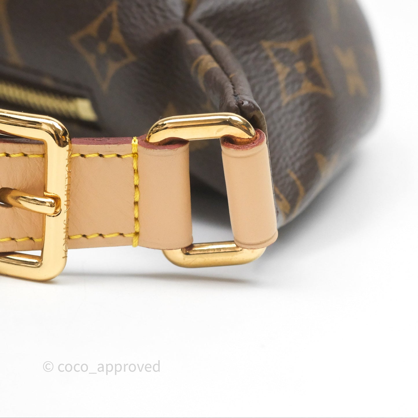Louis Vuitton Bum Bag Monogram Canvas