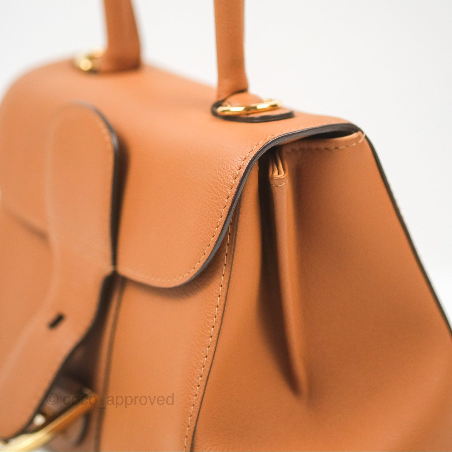 Delvaux Mini Brillant Bag Vegetal Rodeo Calf Gold Hardware