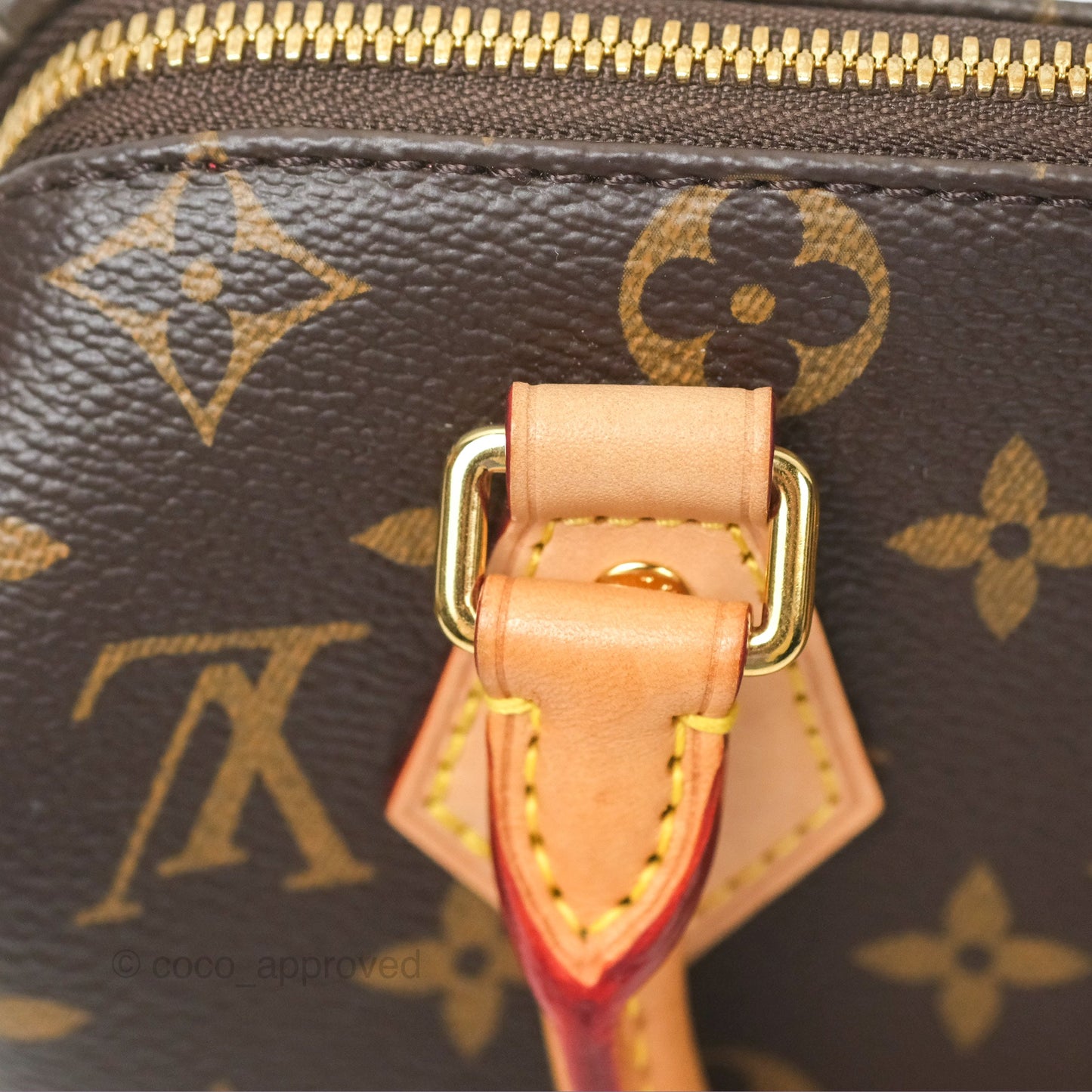 Louis Vuitton Speedy Bandoulière 20 Monogram