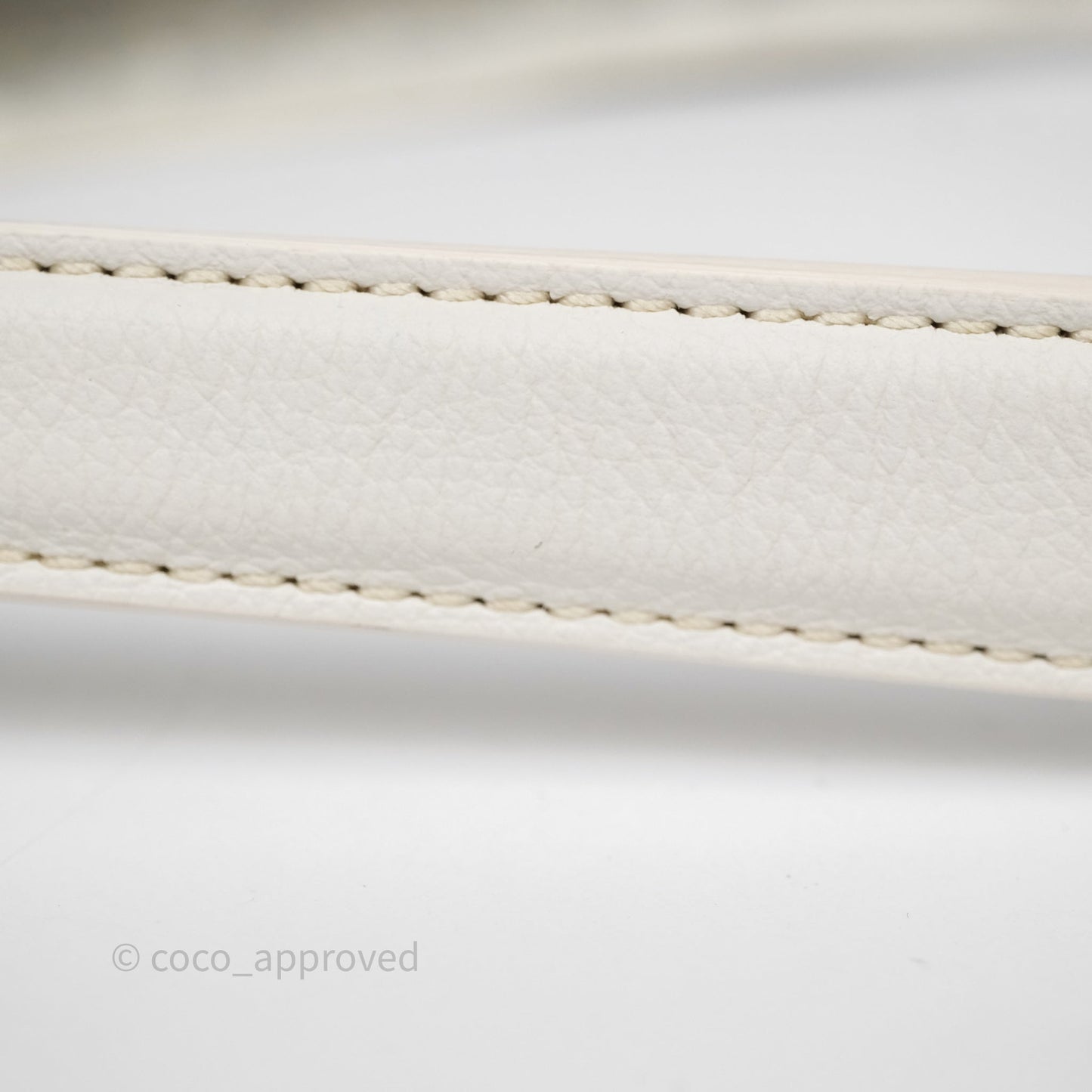 Goyard Bohème Hobo Bag PM White Goyardine Canvas
