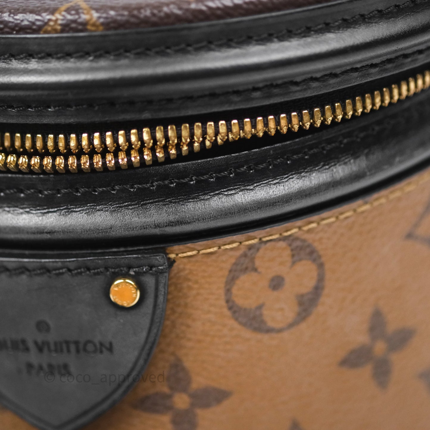 Louis Vuitton Monogram Canvas Reverse Cannes Bag