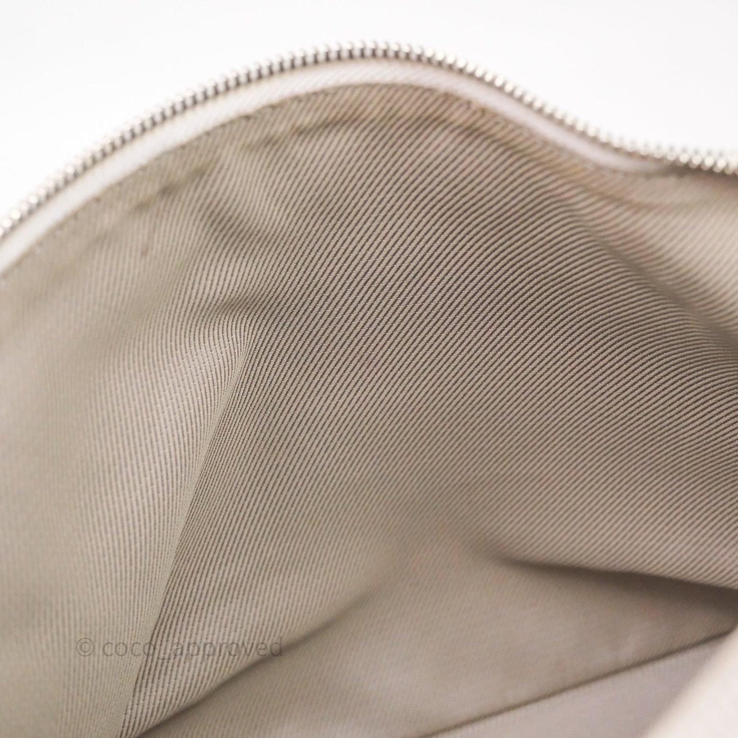 Louis Vuitton Monogram Shimmer Halo Bag Silver