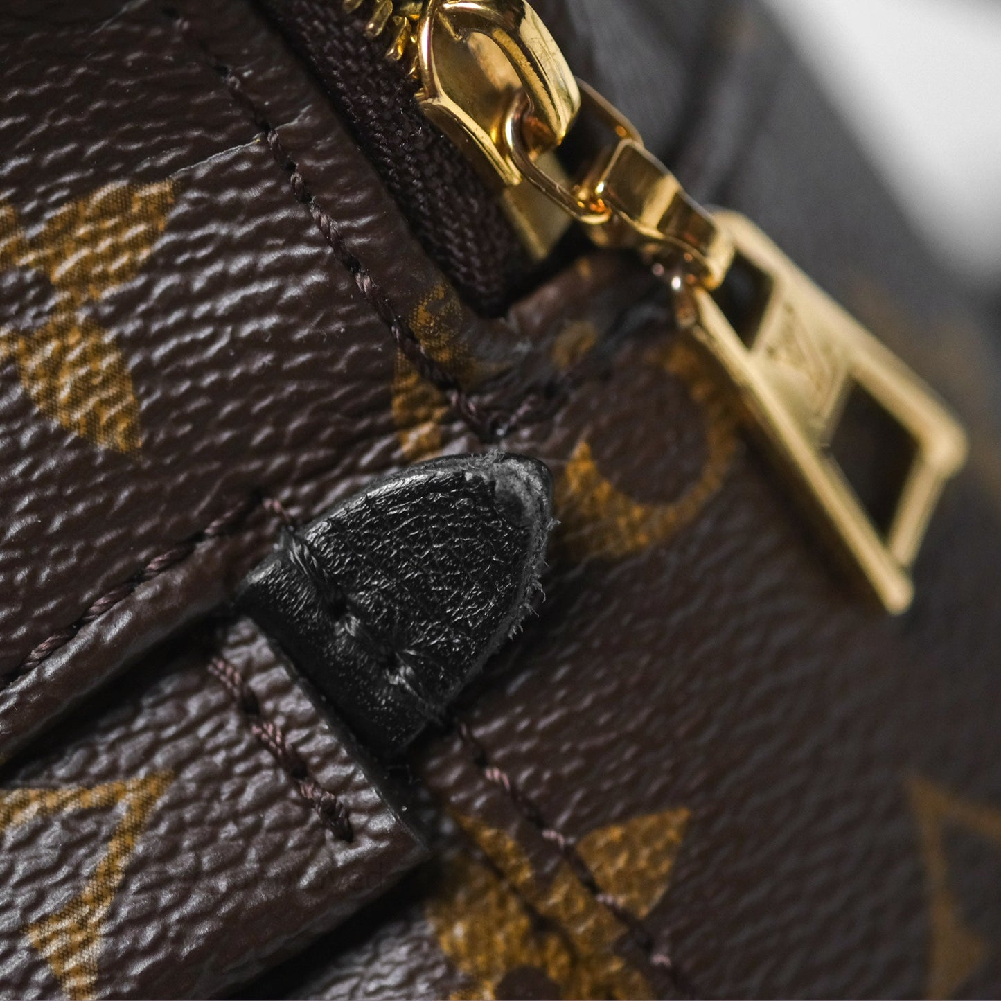 Louis Vuitton Monogram Mini Palm Springs Backpack⁣