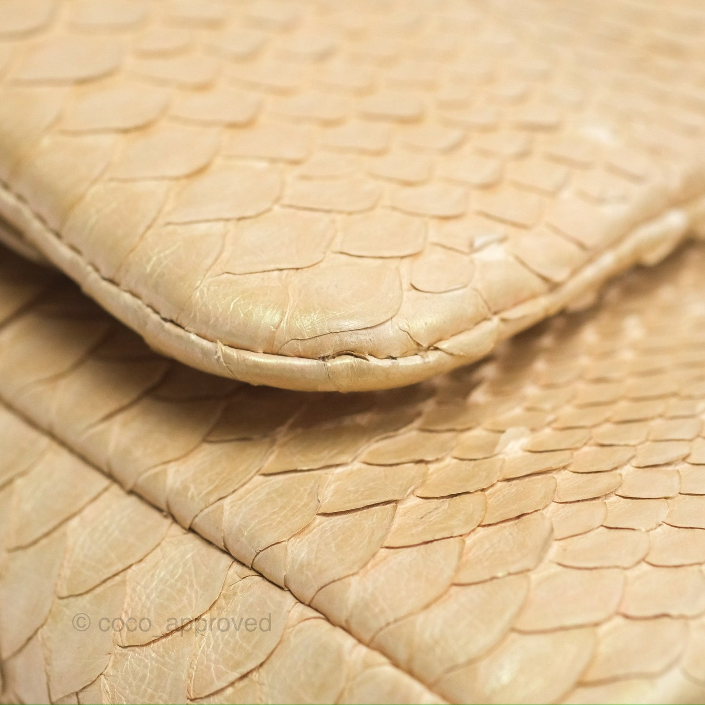 Chanel Jumbo Double Flap Iridescent Gold Python Gold Hardware⁣⁣