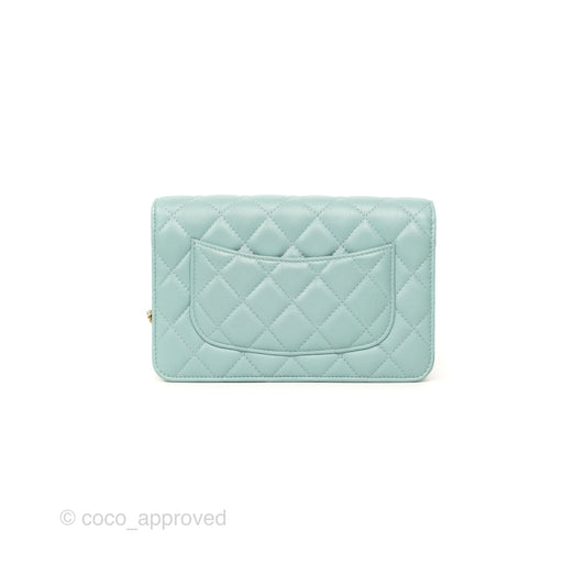 Chanel Quilted Classic Wallet On Chain WOC Tiffany Blue Caviar Gold Hardware