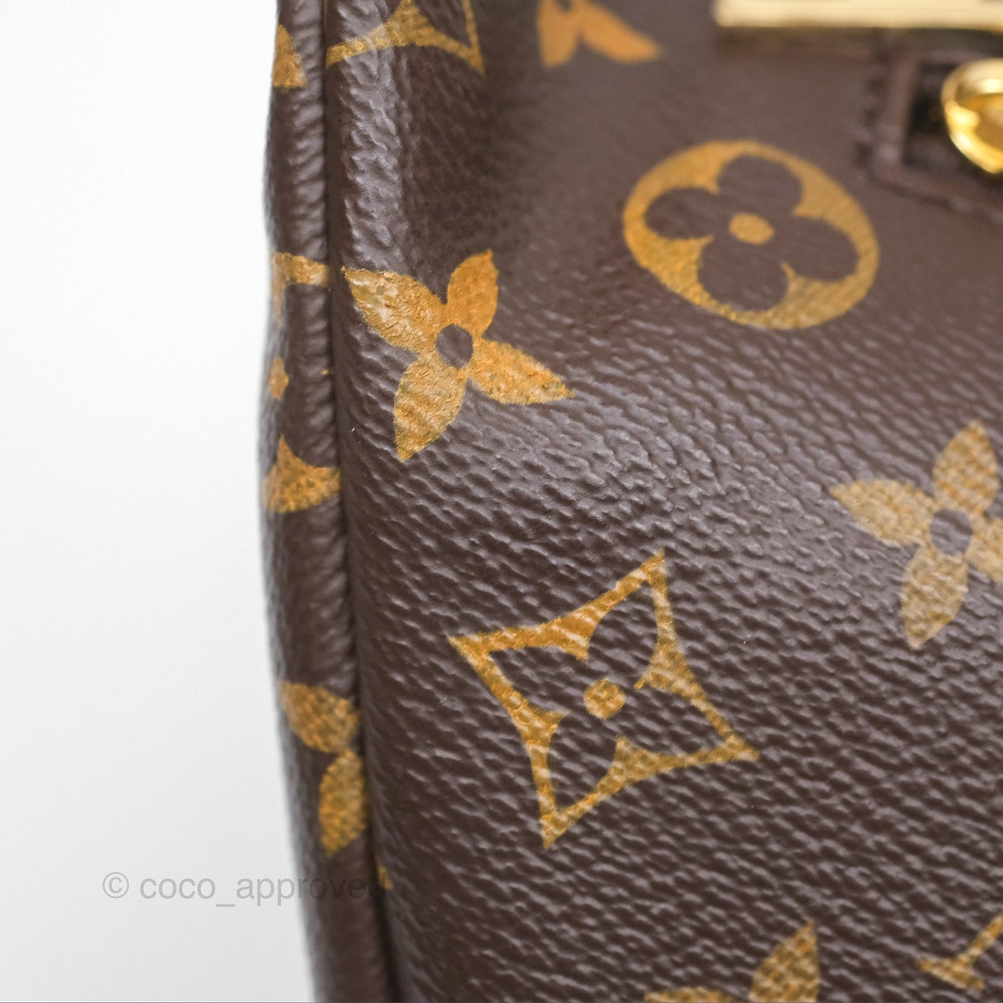 Louis Vuitton Bum Bag Monogram Canvas