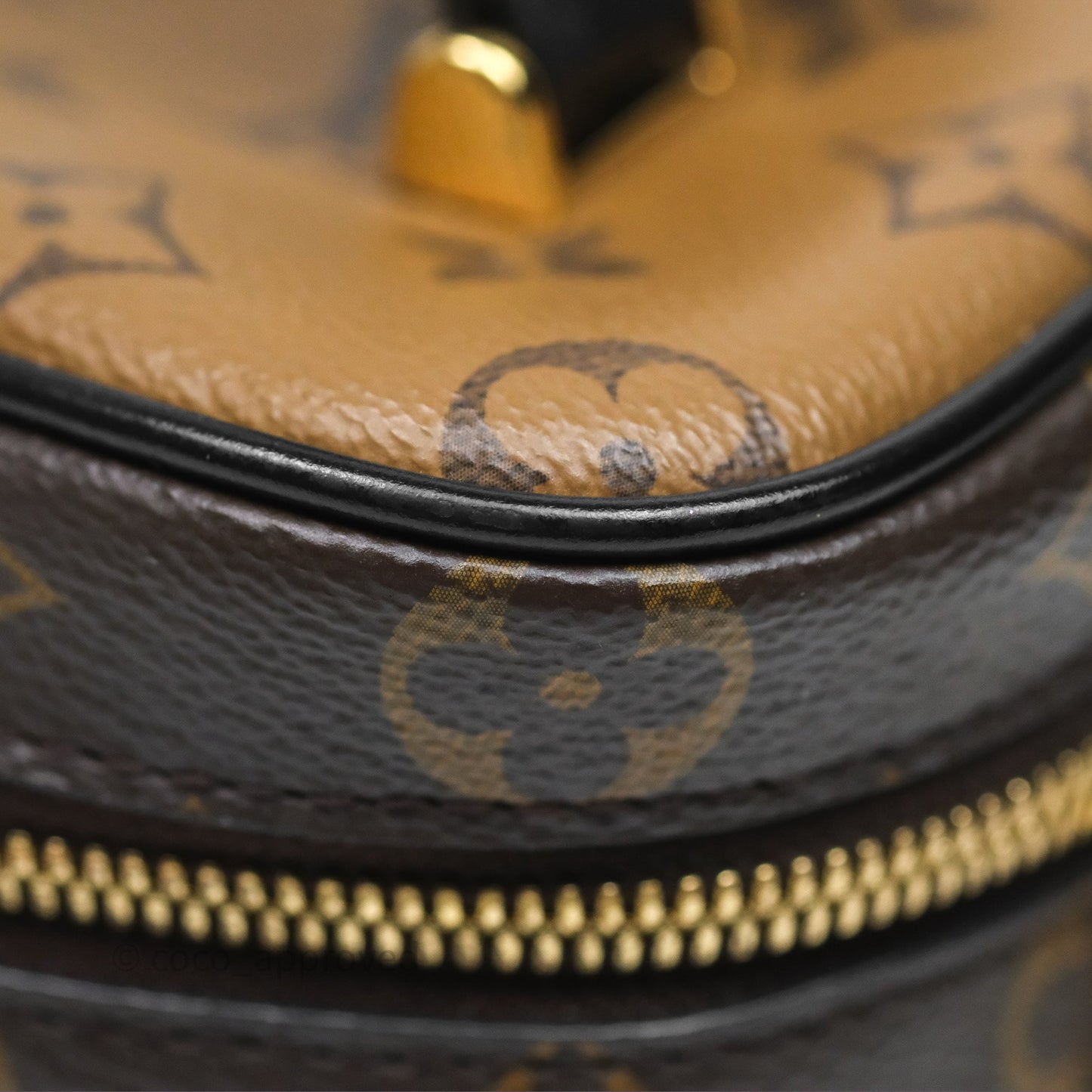 Louis Vuitton Reverse Monogram Vanity PM