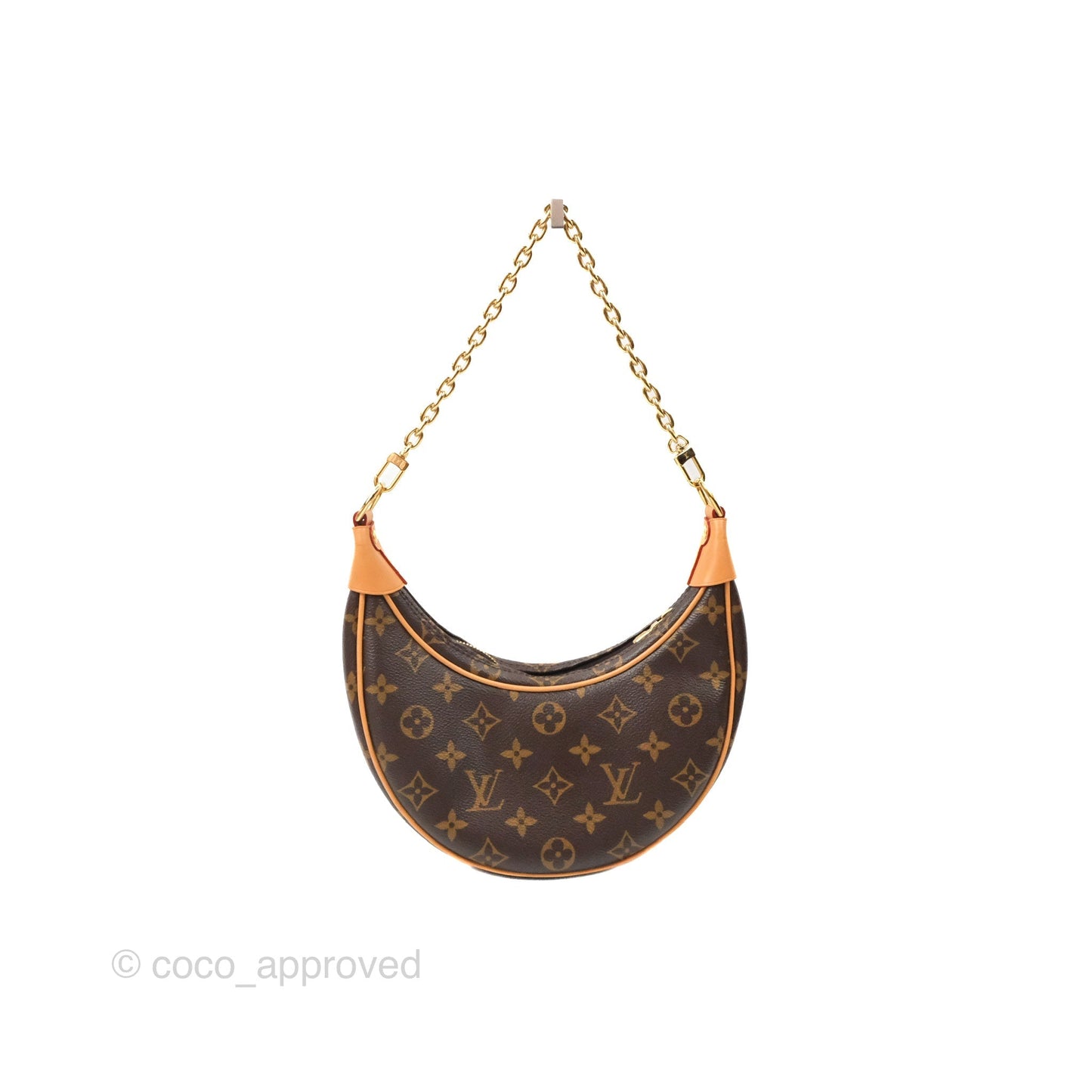 Louis Vuitton Loop Monogram Canvas