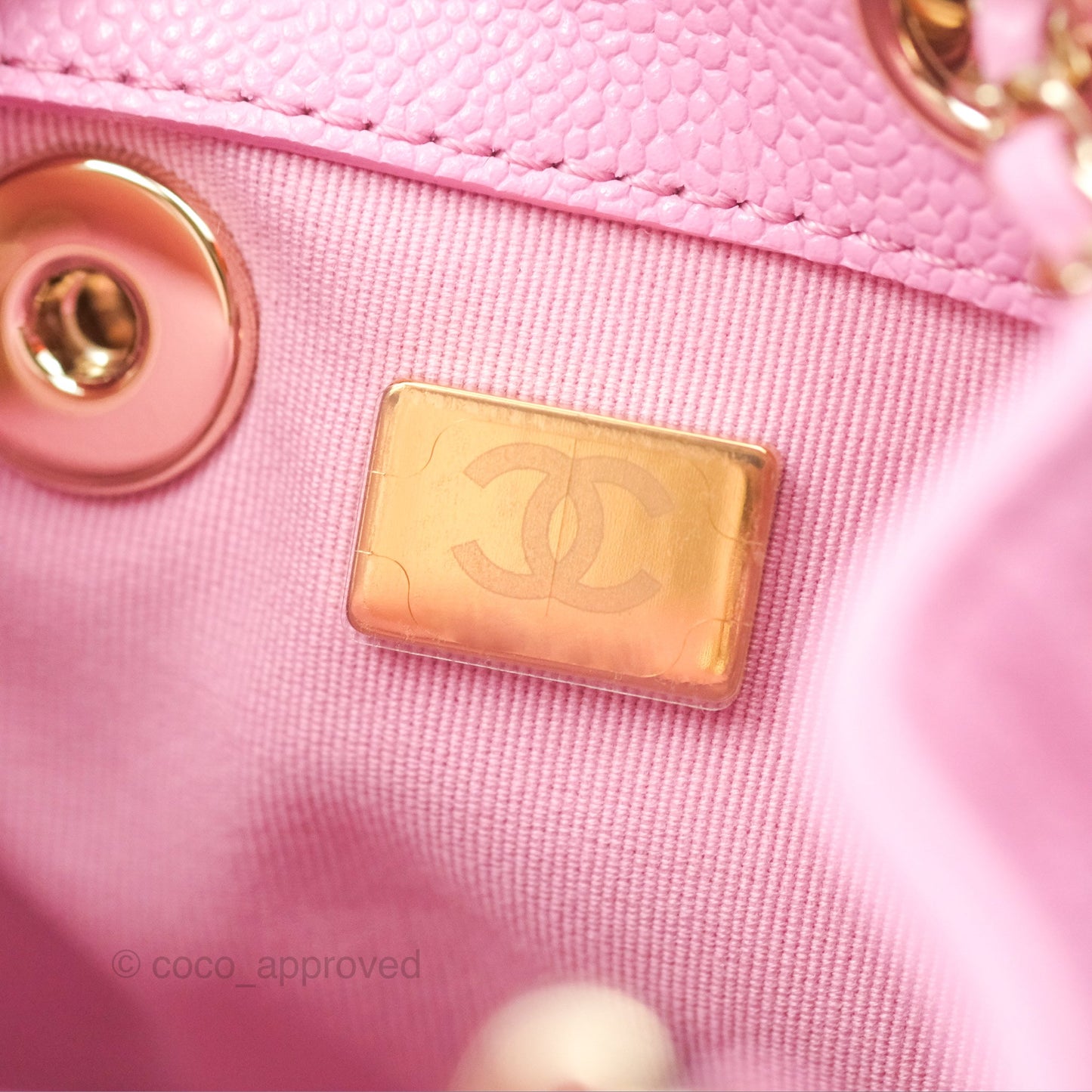 Chanel Mini Duma Backpack Pink Caviar Gold Hardware 23P