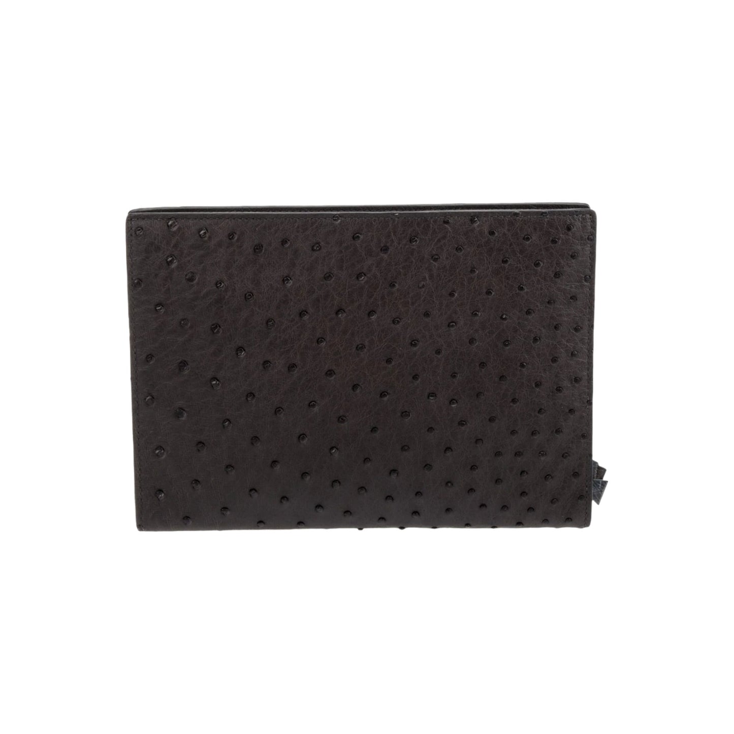 Luxury Bottega Veneta Leather Document Case
