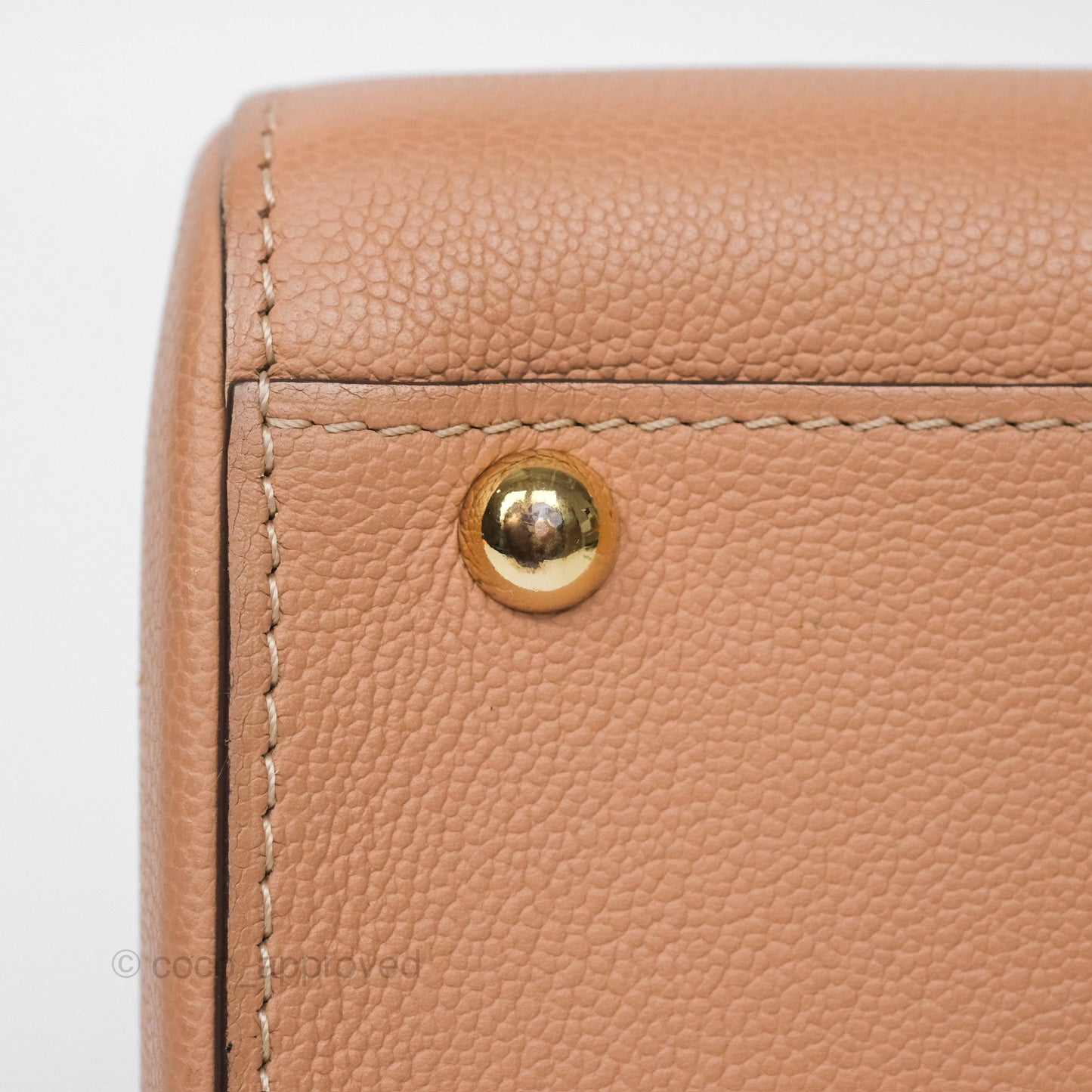 Delvaux Mini Brillant Bag Nude Grained Calfskin Gold Hardware