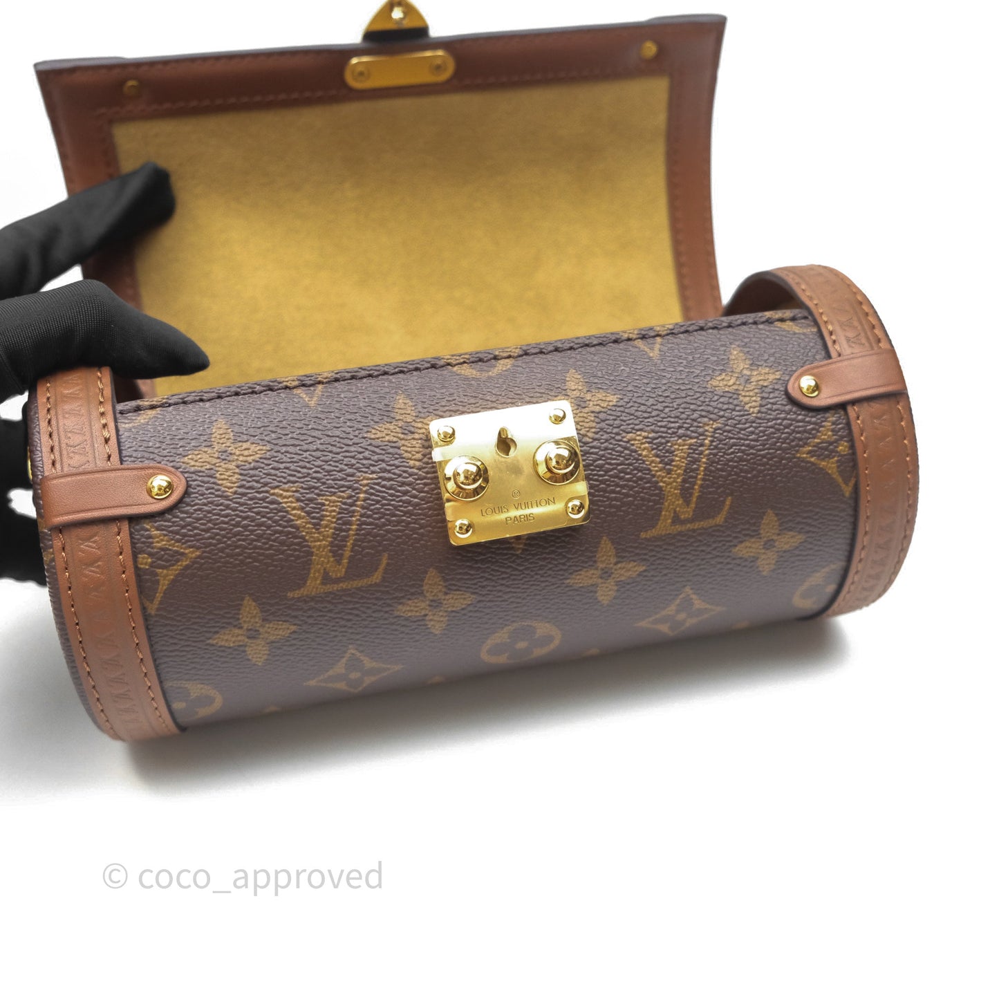 Louis Vuitton Papillon Trunk Monogram Coated Canvas
