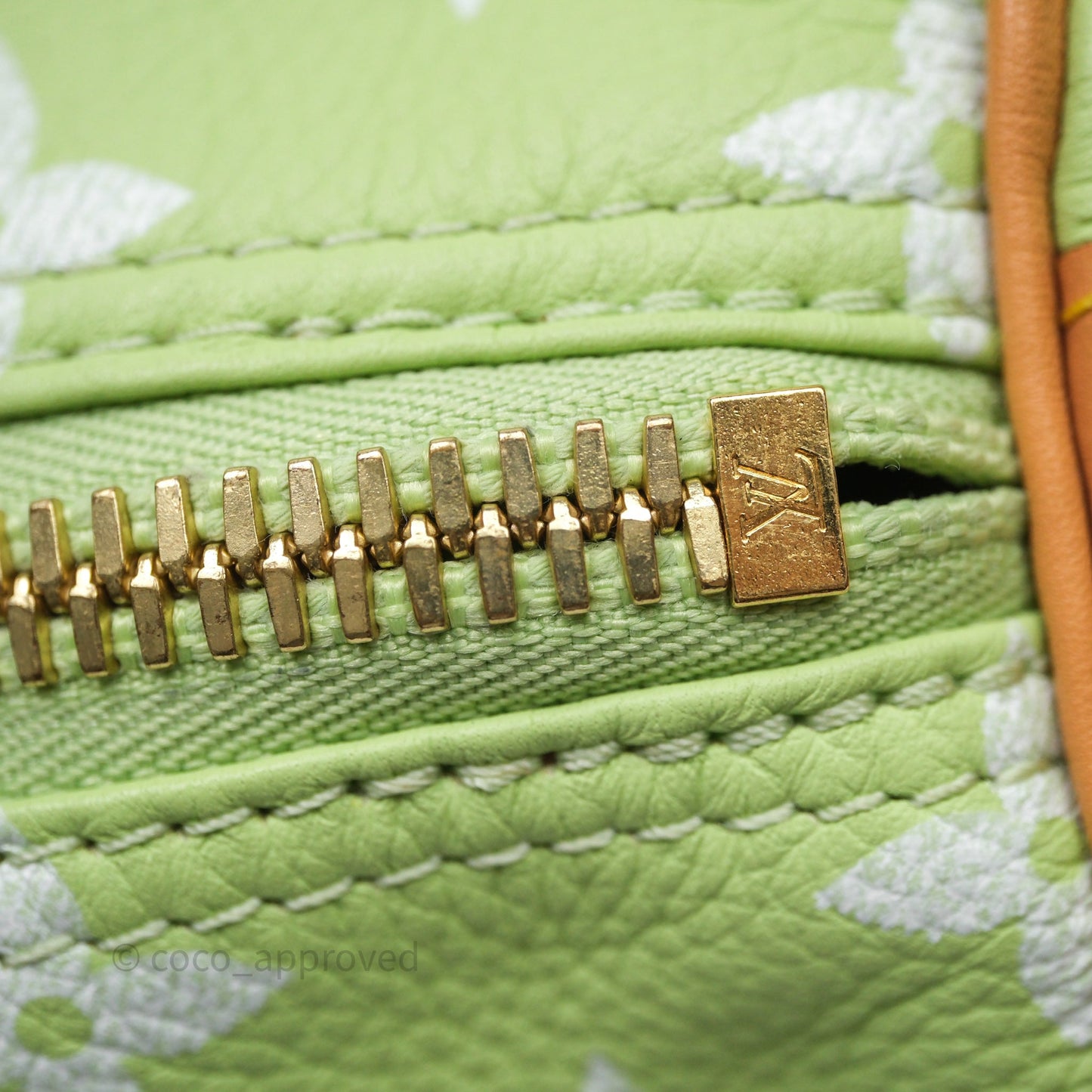 Louis Vuitton Speedy P9 Bandouliere 30 Vert Clair Bag