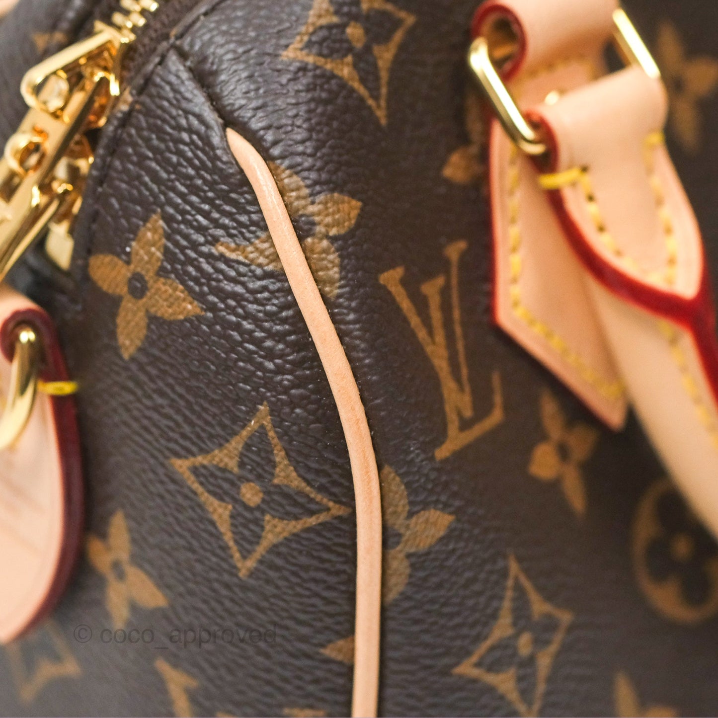 Louis Vuitton Speedy Bandoulière 20 Monogram