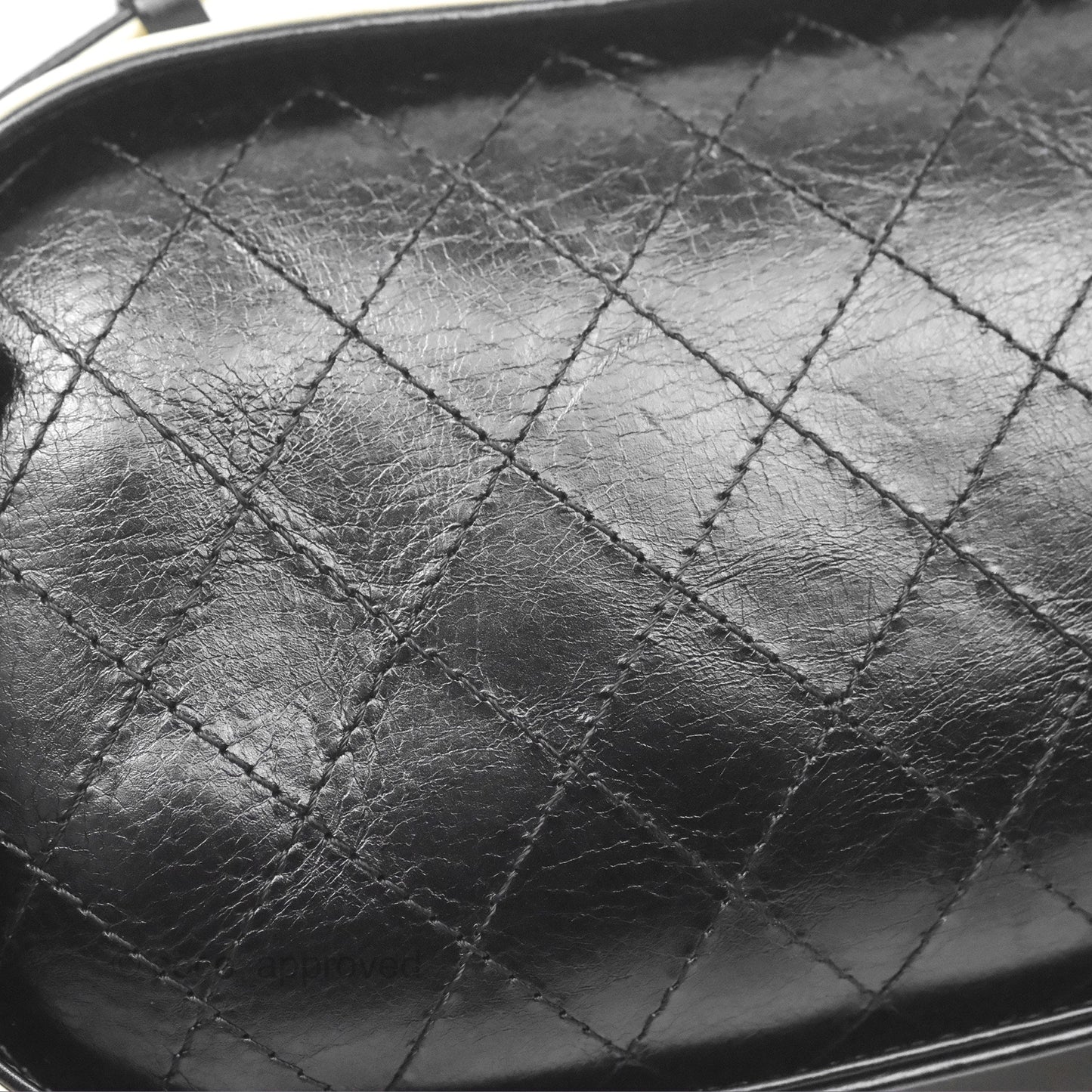 Chanel Camera Case Bag Black/White Calfskin Gold Hardware