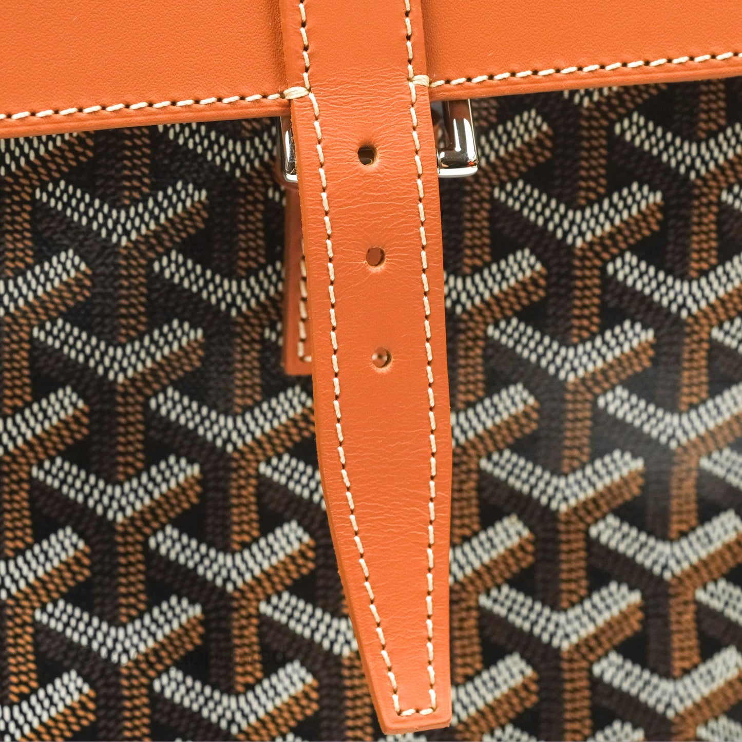 Goyard Alpin MM Backpack Black/ Tan