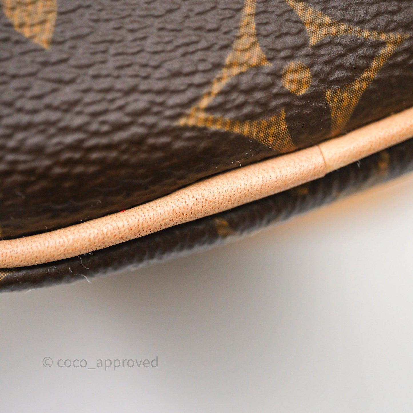 Louis Vuitton Nano Speedy Monogram Canvas
