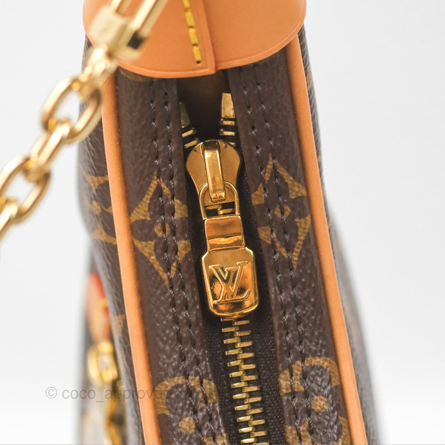 Louis Vuitton Loop Monogram Canvas