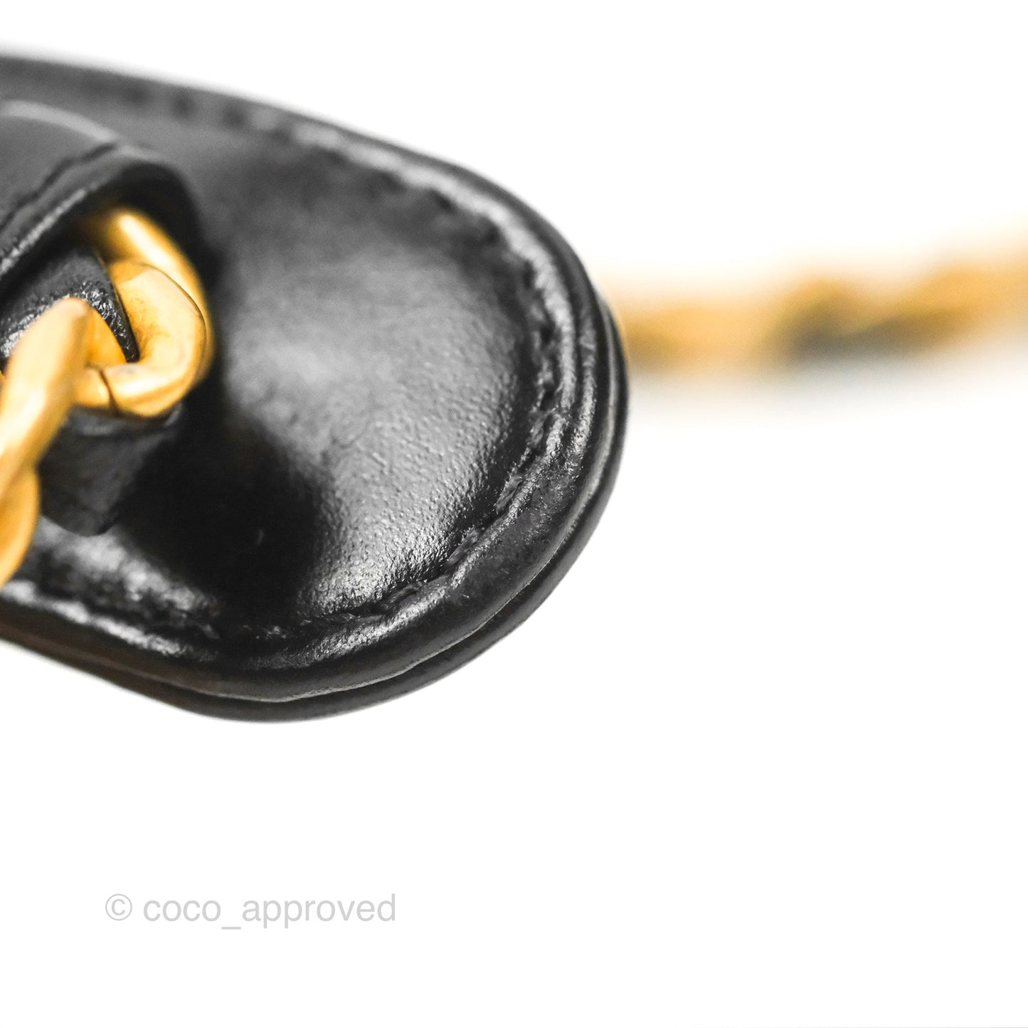 Chanel Mini Diana Flap Bag Black Calfskin Aged Gold Hardware 21B