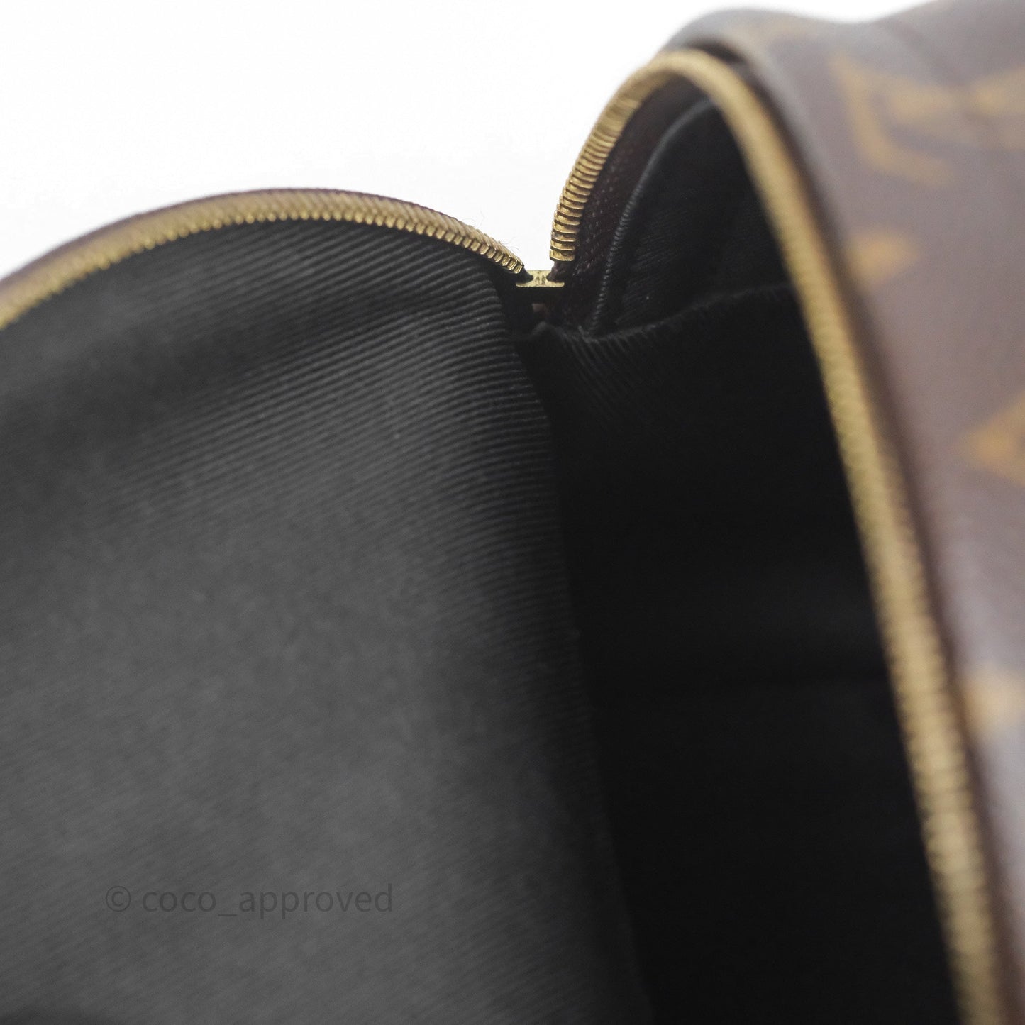 Louis Vuitton Mini Palm Springs Backpack⁣ Monogram