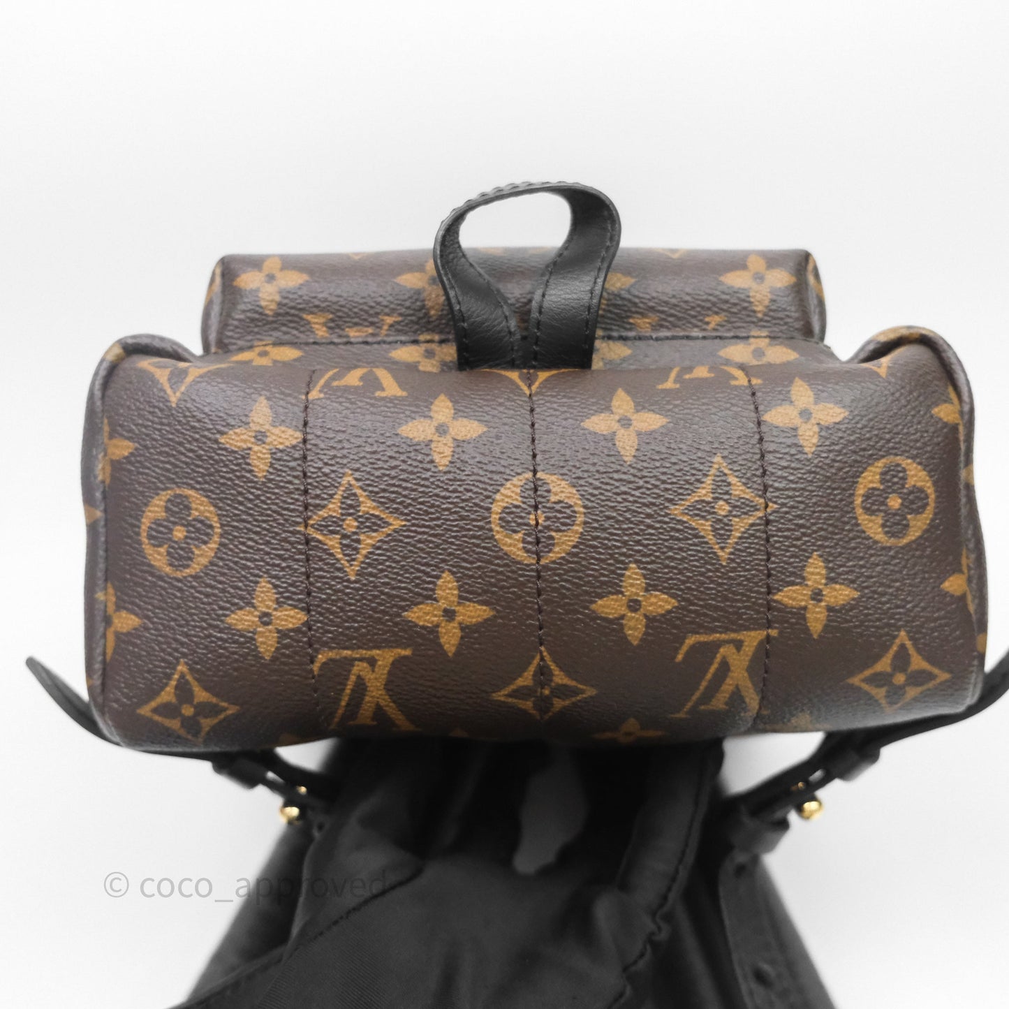 Louis Vuitton Palm Springs Backpack⁣ Monogram PM