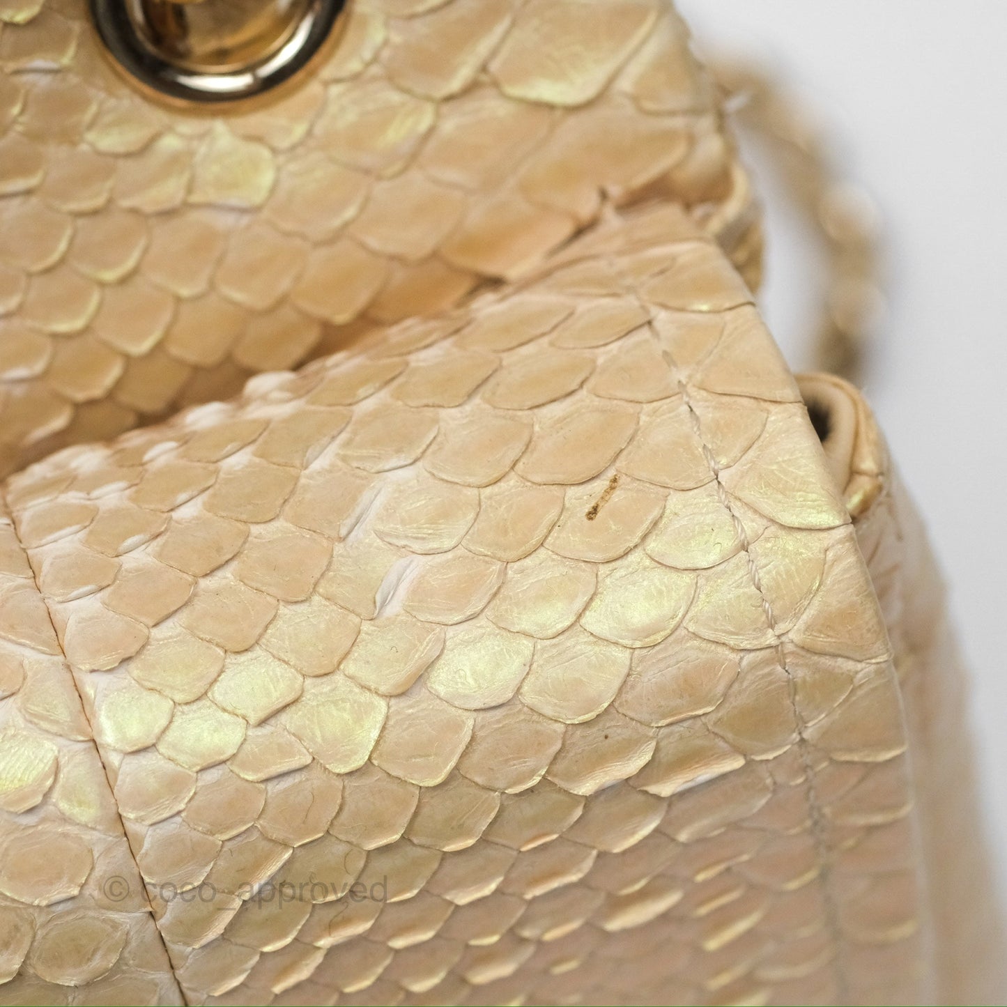 Chanel Jumbo Double Flap Iridescent Gold Python Gold Hardware⁣⁣