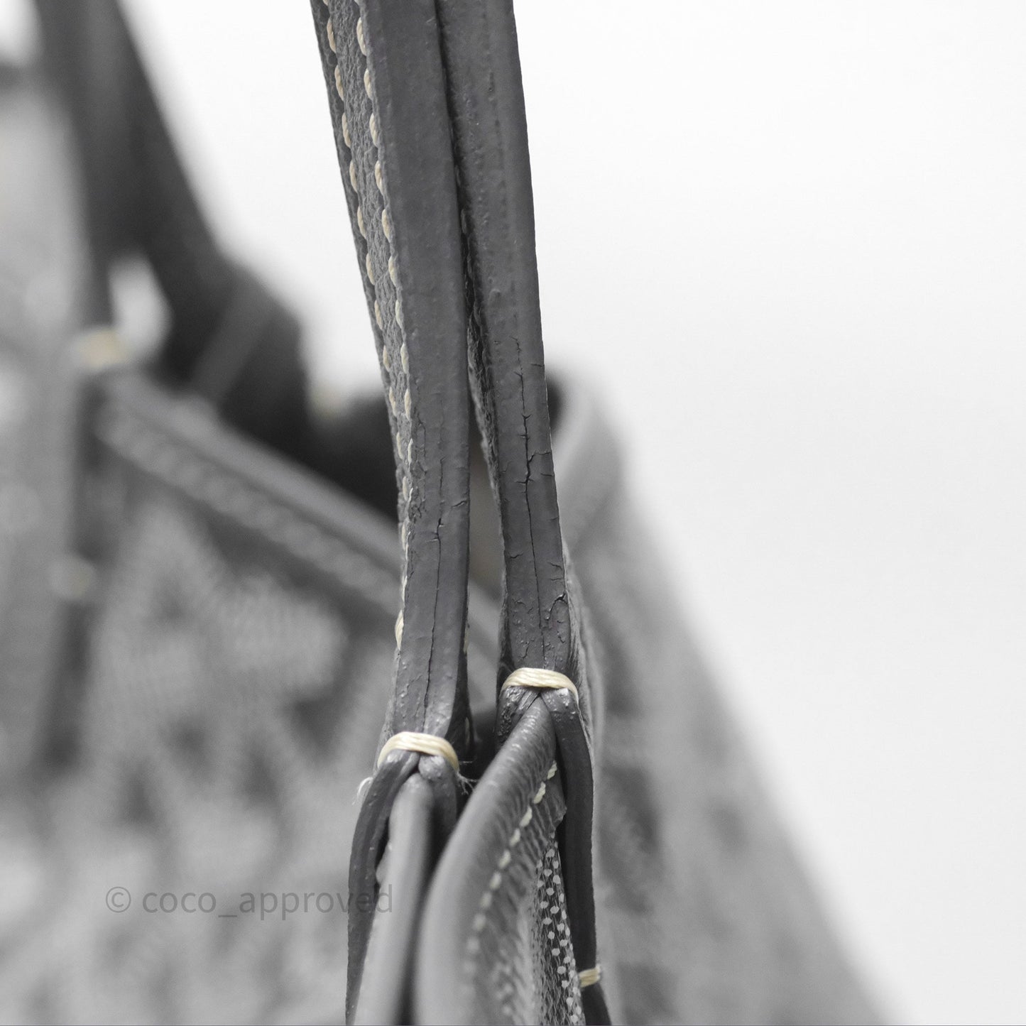 Goyard St Louis Tote PM ⁣⁣⁣⁣⁣⁣⁣⁣⁣⁣⁣⁣⁣⁣⁣⁣⁣⁣⁣⁣Grey