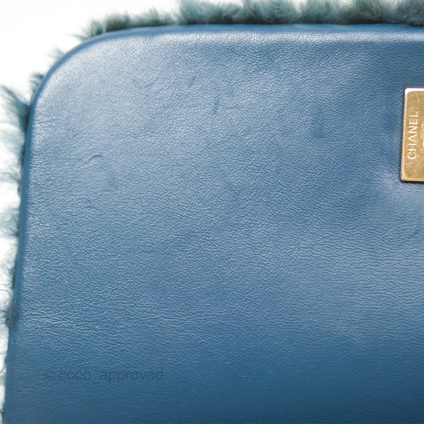 Chanel Top Handle Bag Green Blue Orylag Fur 17A