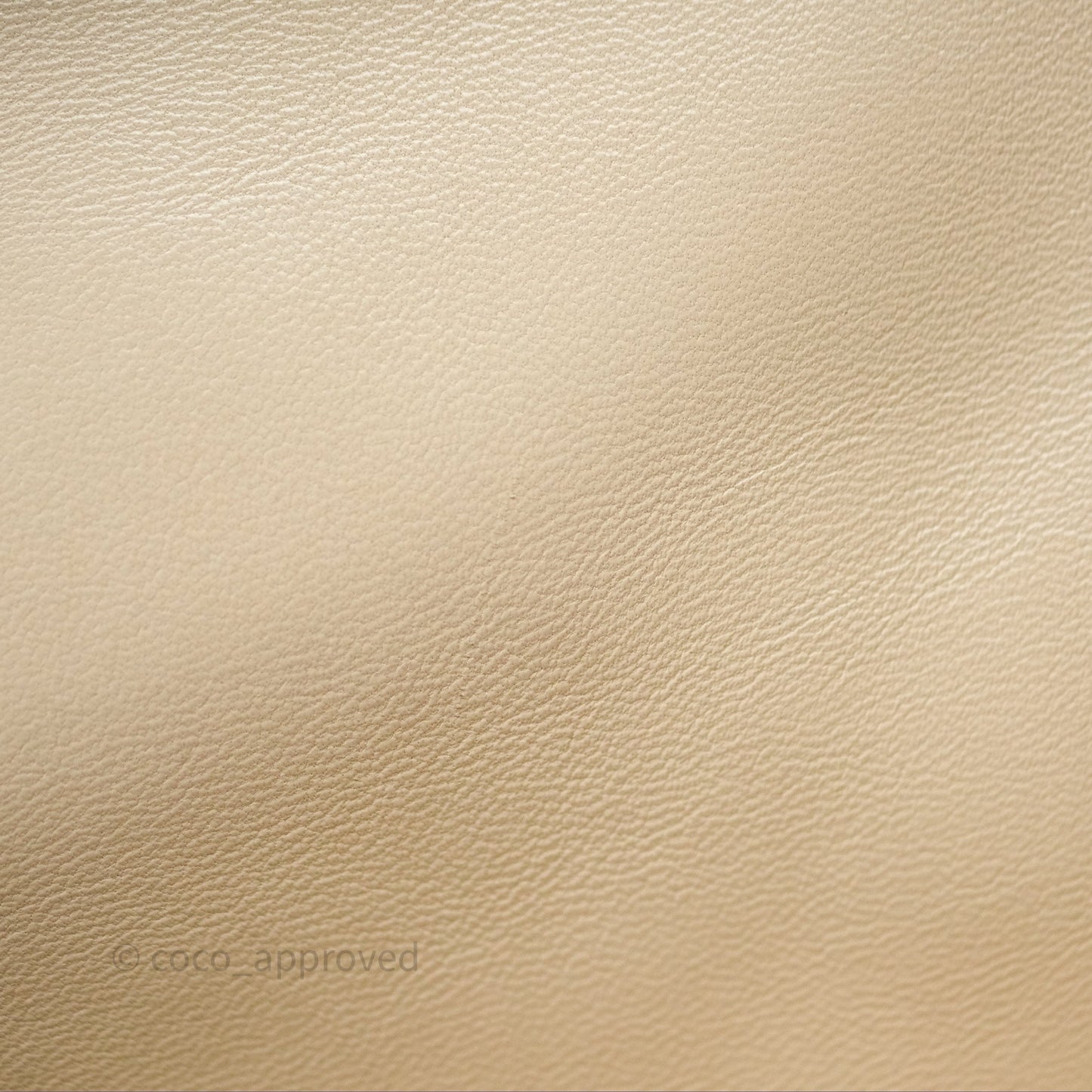 Chanel 19 Medium Beige Mixed Hardware
