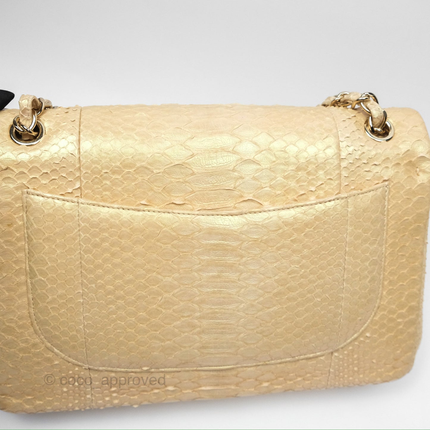 Chanel Jumbo Double Flap Iridescent Gold Python Gold Hardware⁣⁣