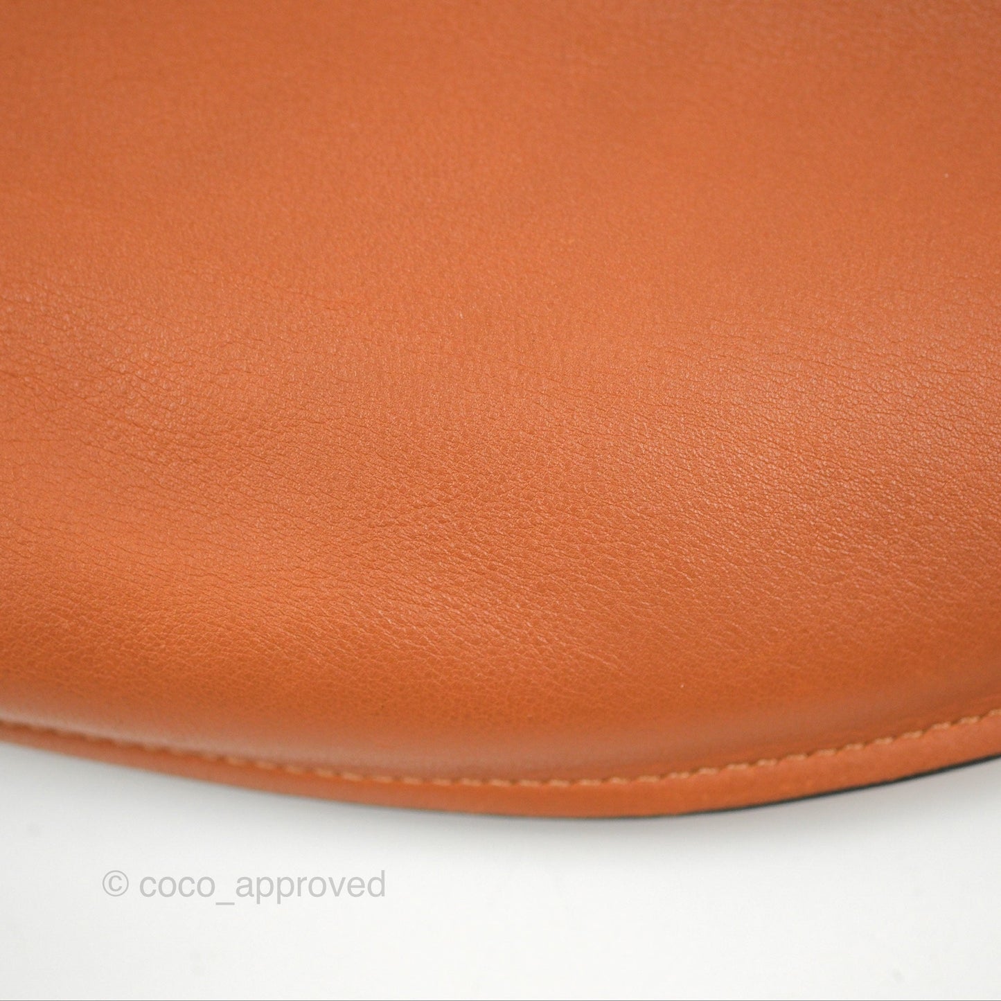 Loewe Large Fortune Hobo Tan Calfskin