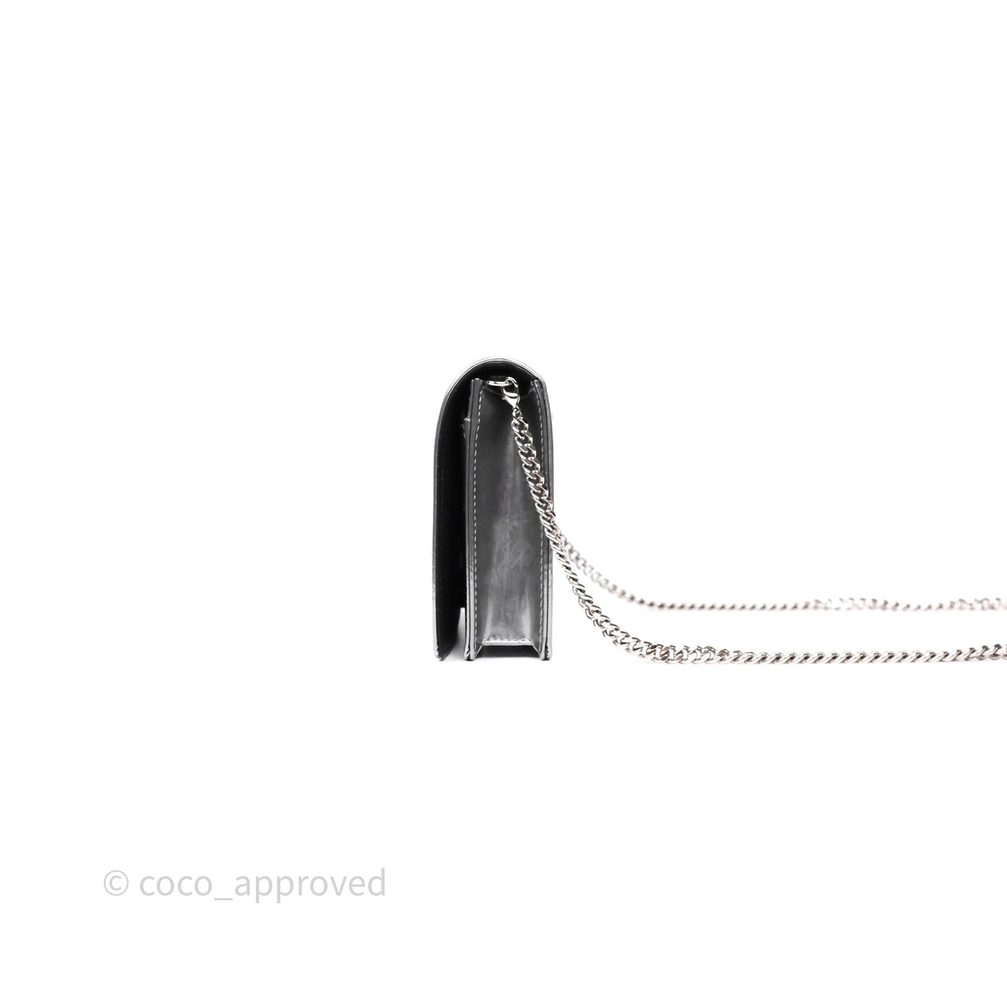 Christian Dior Diorama Wallet on Chain Metallic Silver