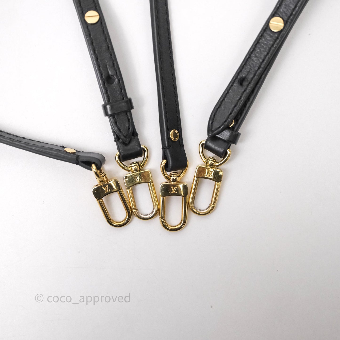 Louis Vuitton Mini Palm Springs Backpack⁣ Monogram
