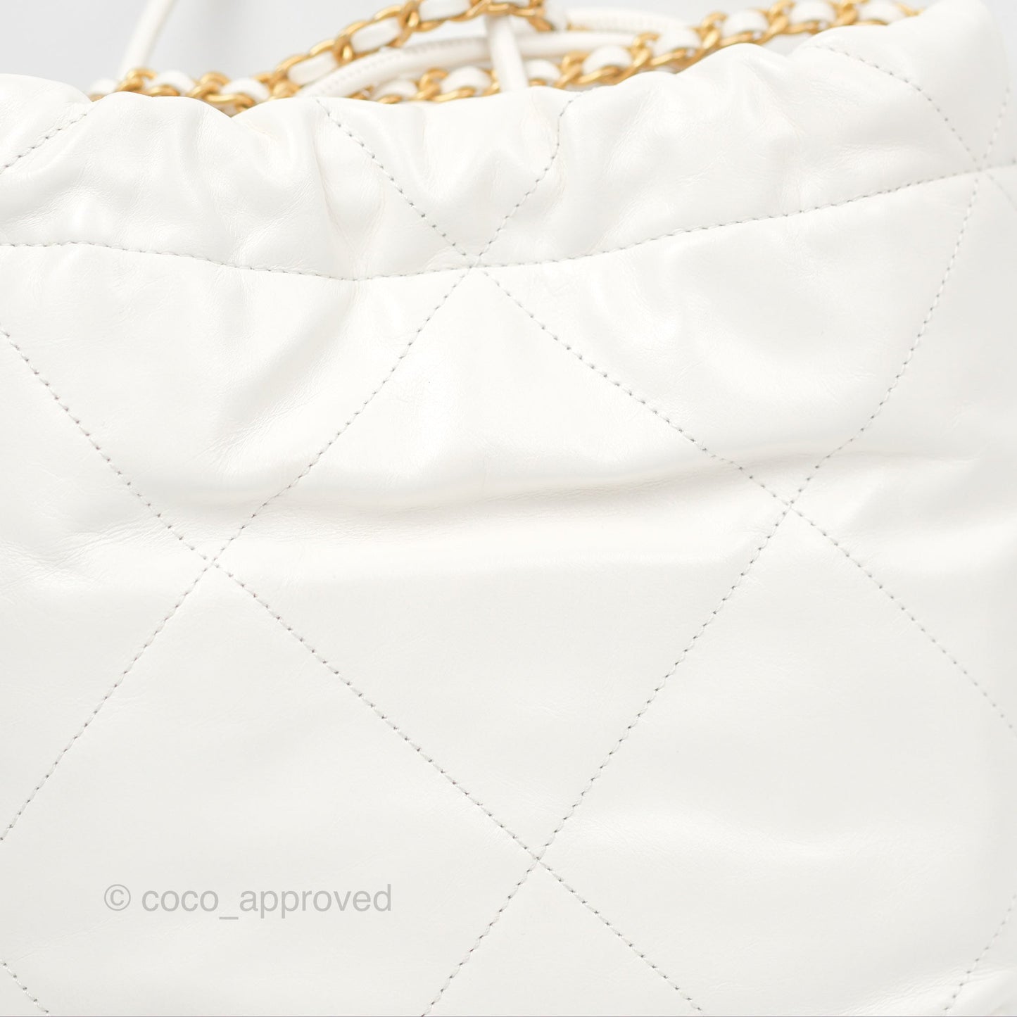 Chanel 22 Mini Bag White Crumpled Calfskin