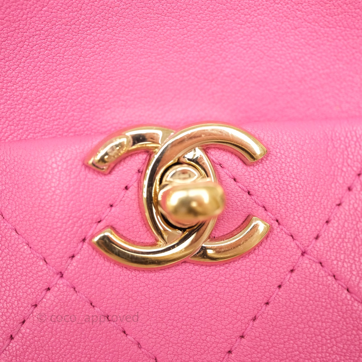 Chanel Camera Bag Pink Calfskin Aged Gold Hardware