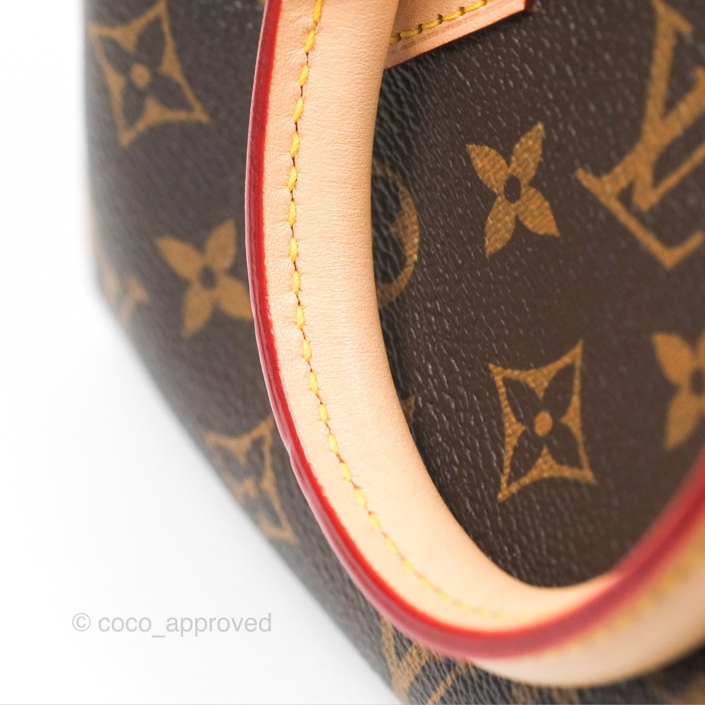 Louis Vuitton Speedy Bandoulière 20 Monogram