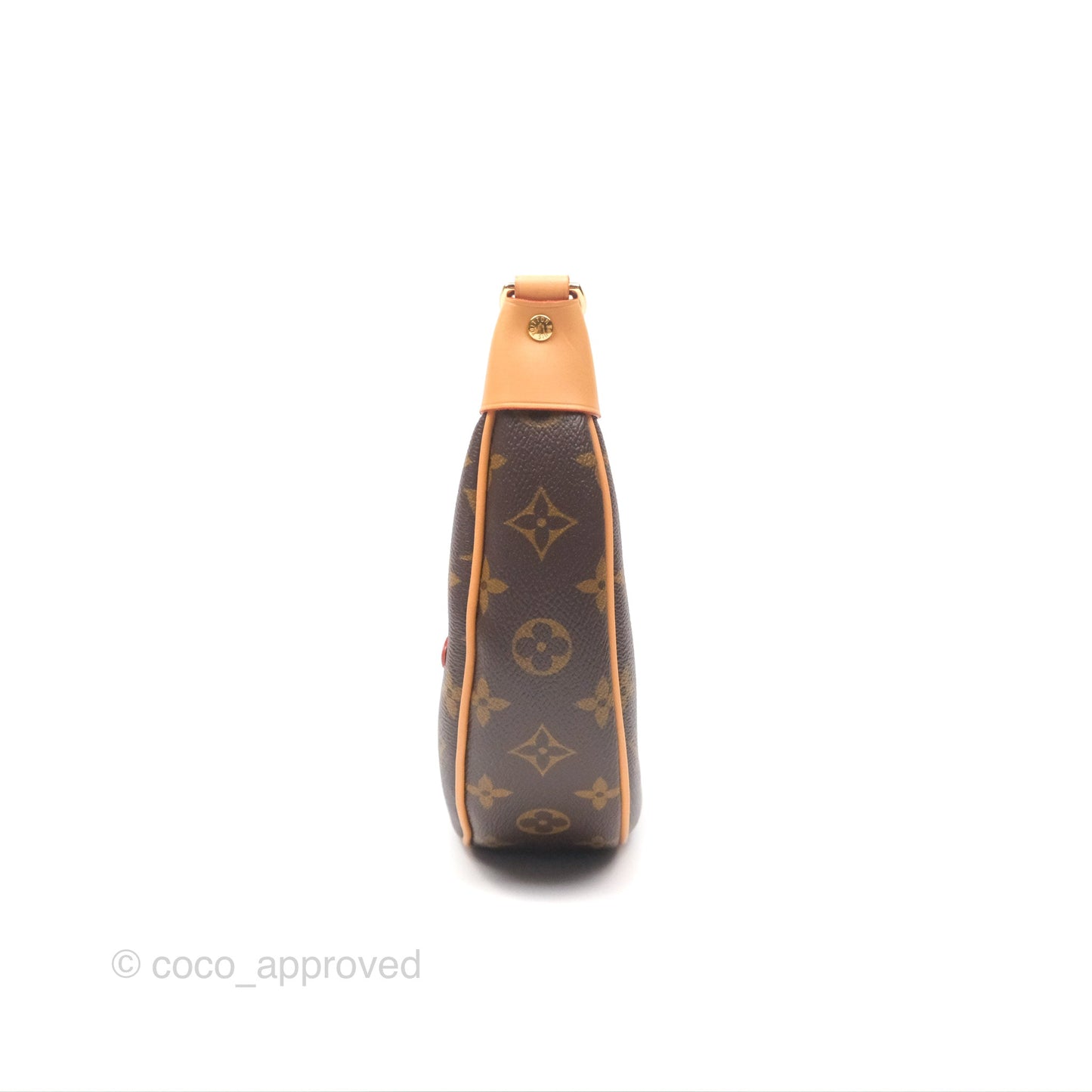 Louis Vuitton Loop Monogram Canvas
