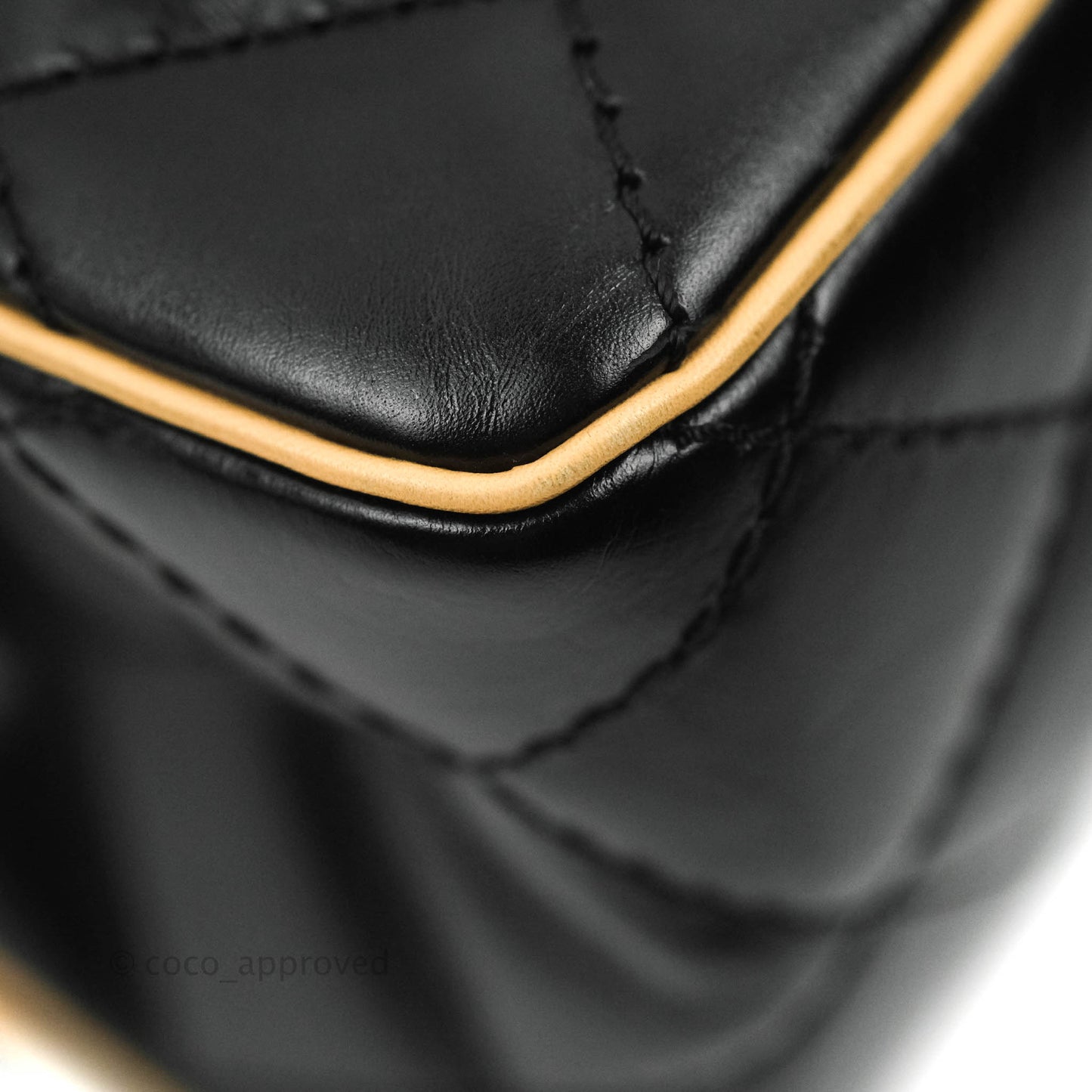 Chanel Reissue Quilted Aged Calfskin Beige & Black Ruthenium Hardware 226