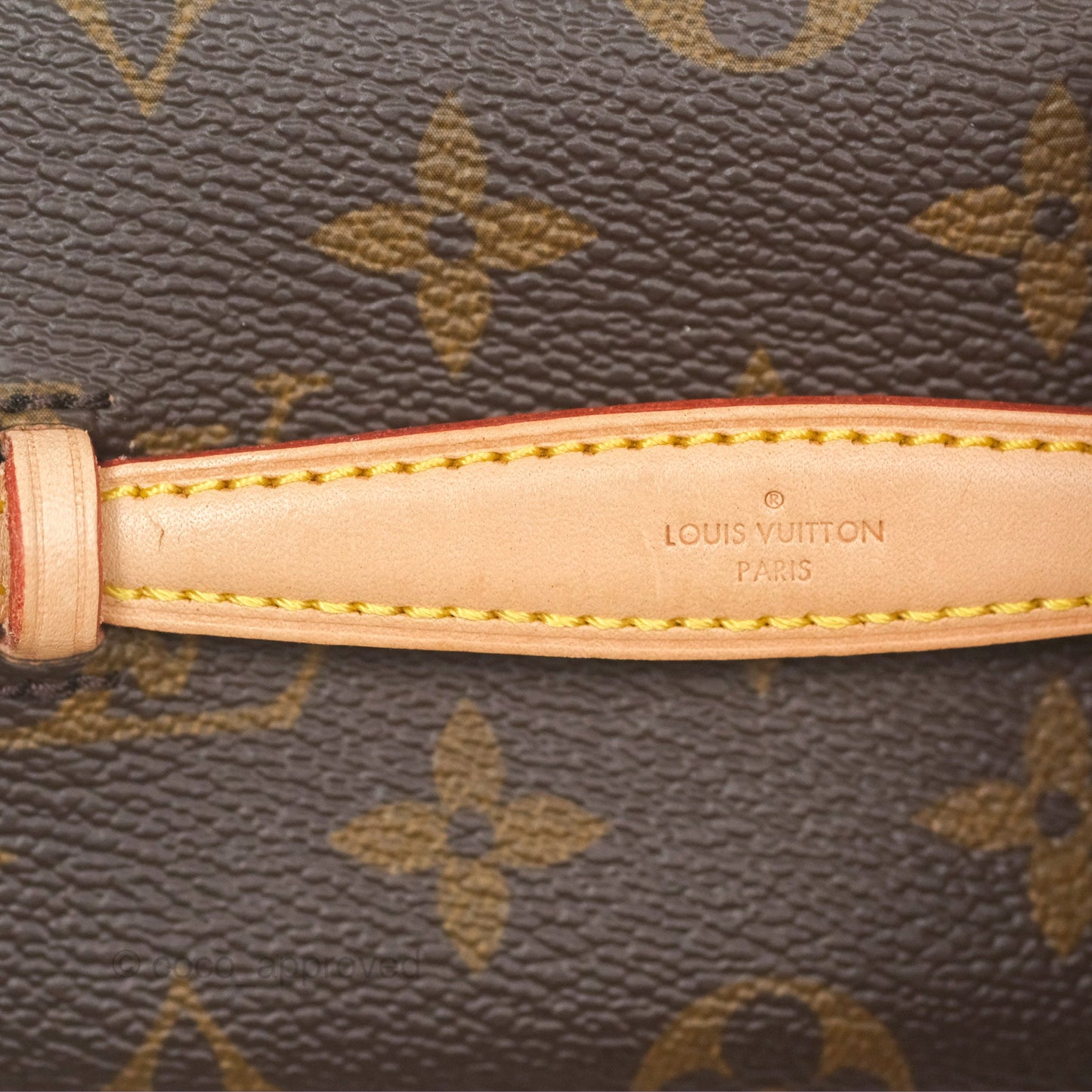 Louis Vuitton Nano Nice Monogram