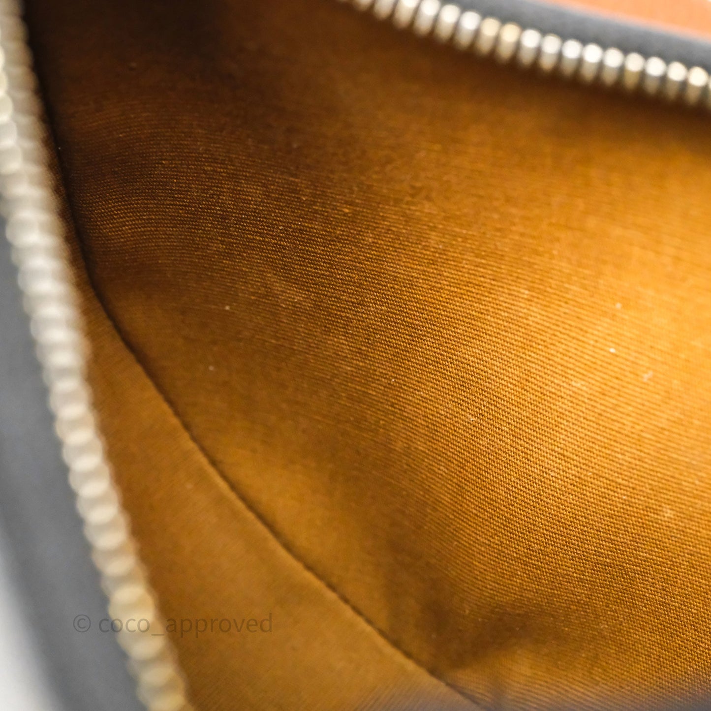 Celine Medium Ava Bag In Triomphe Canvas Calfskin Tan