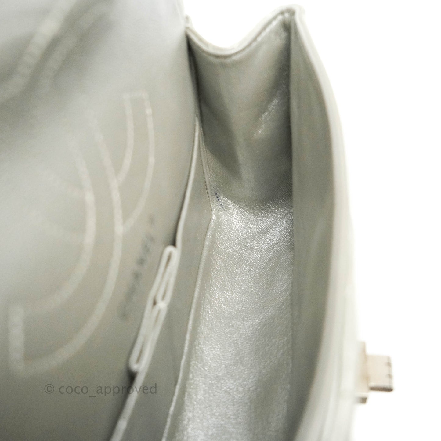Chanel Reissue Quilted Aged Calfskin Metallic Silver Matte Silver Hardware 225