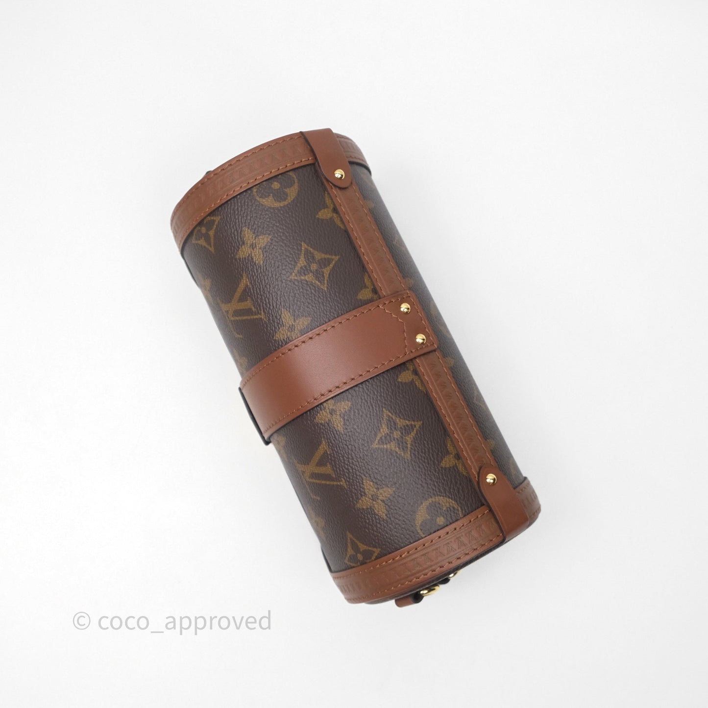 Louis Vuitton Papillon Trunk Monogram Coated Canvas