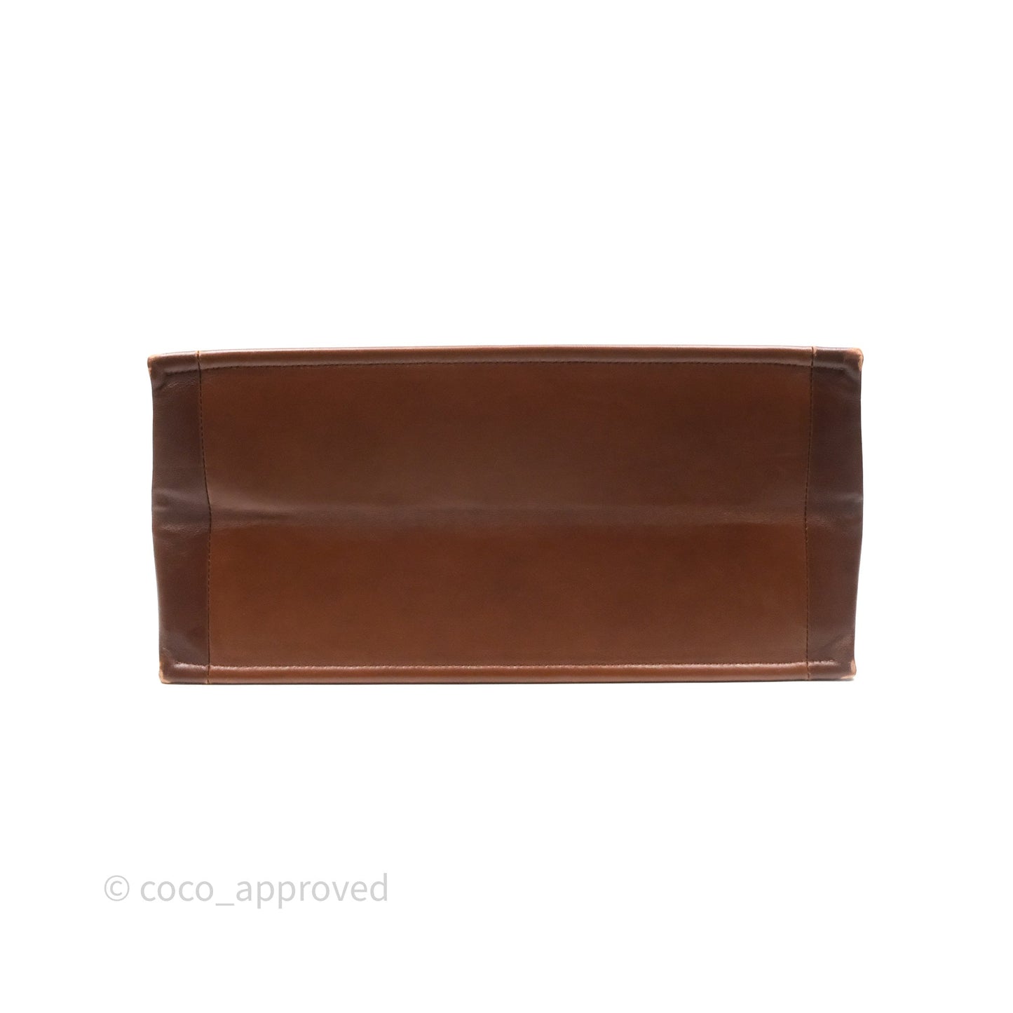 Christian Dior Medium Book Tote Gradient Brown Calfskin