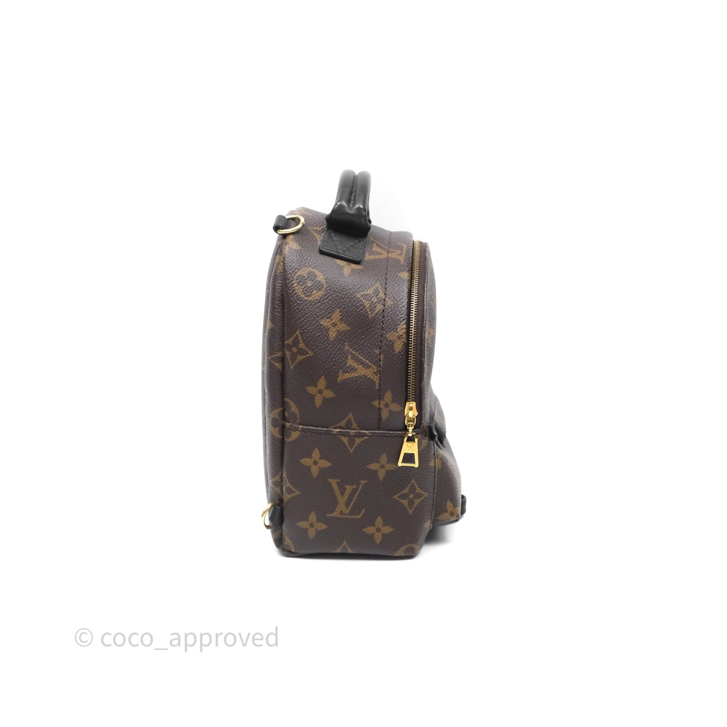 Louis Vuitton Mini Palm Springs Backpack⁣ Monogram