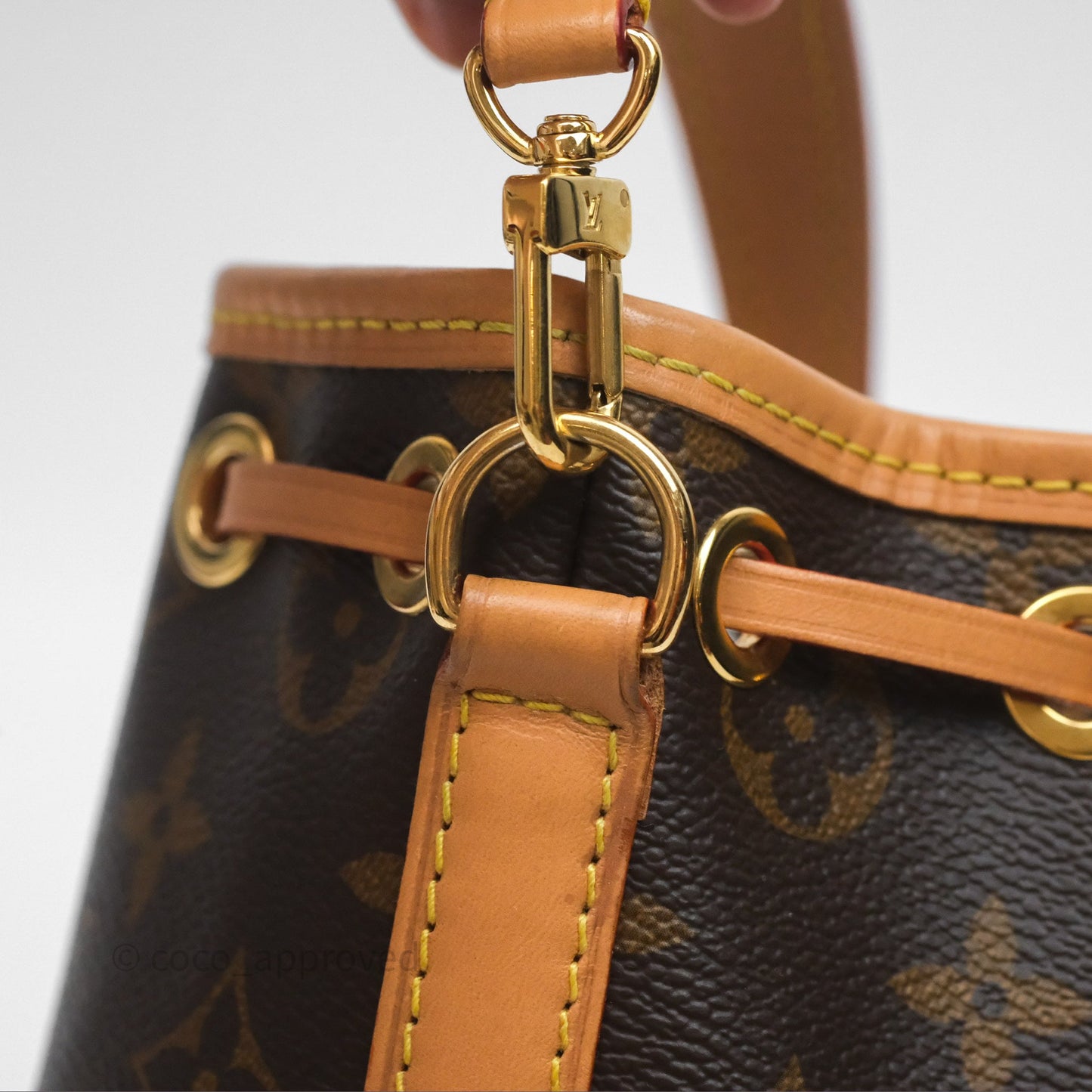 Louis Vuitton Nano Noe Monogram