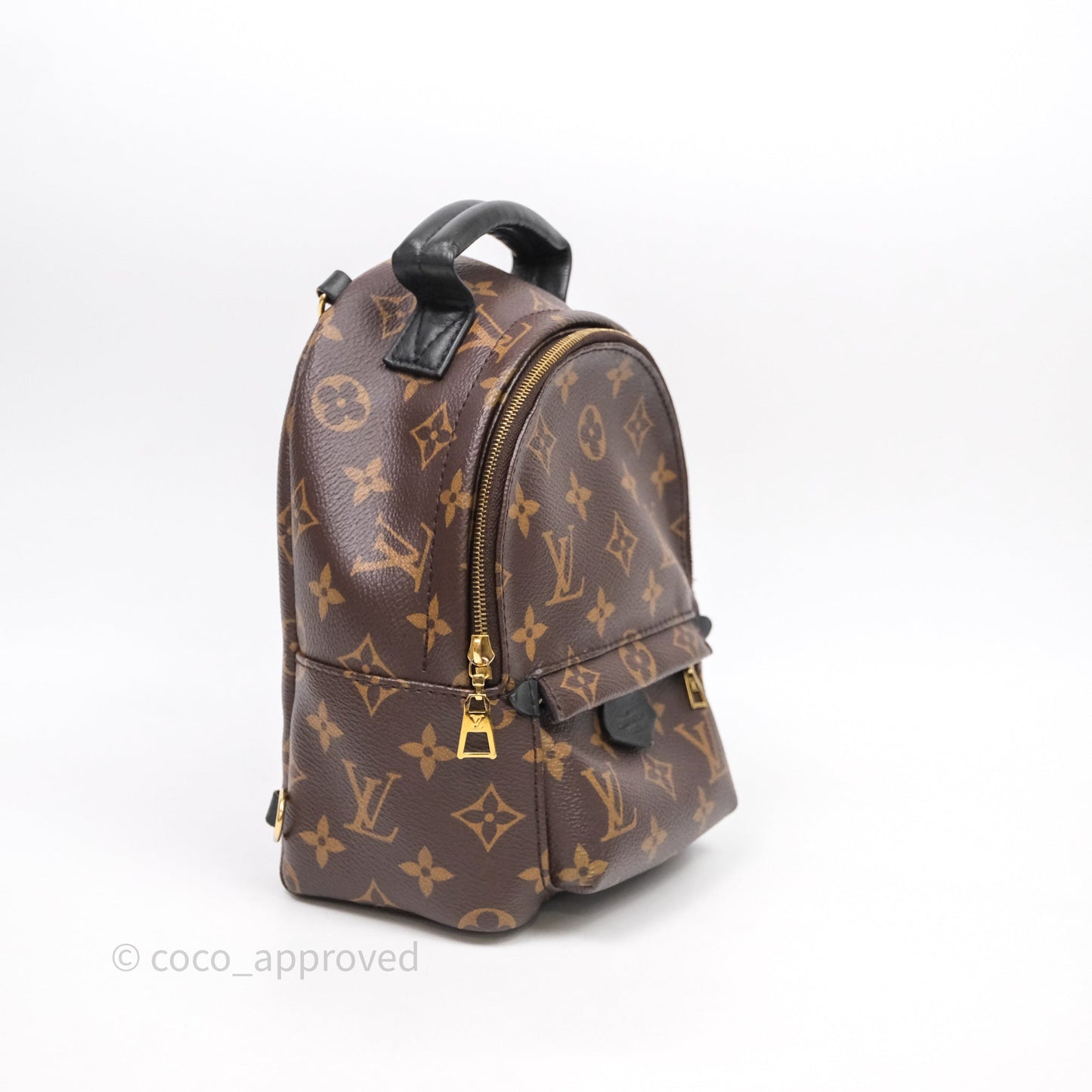 Louis Vuitton Mini Palm Springs Backpack⁣ Monogram
